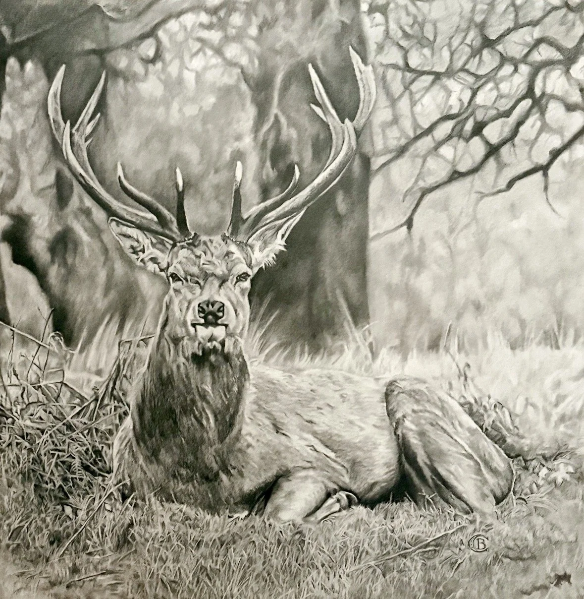 Catherine Barnes "Ruler of the Woods"