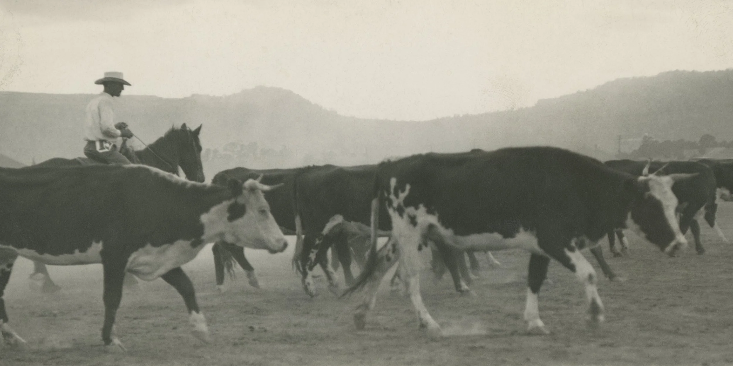 #1573 A. R. Mitchell Photo Collection