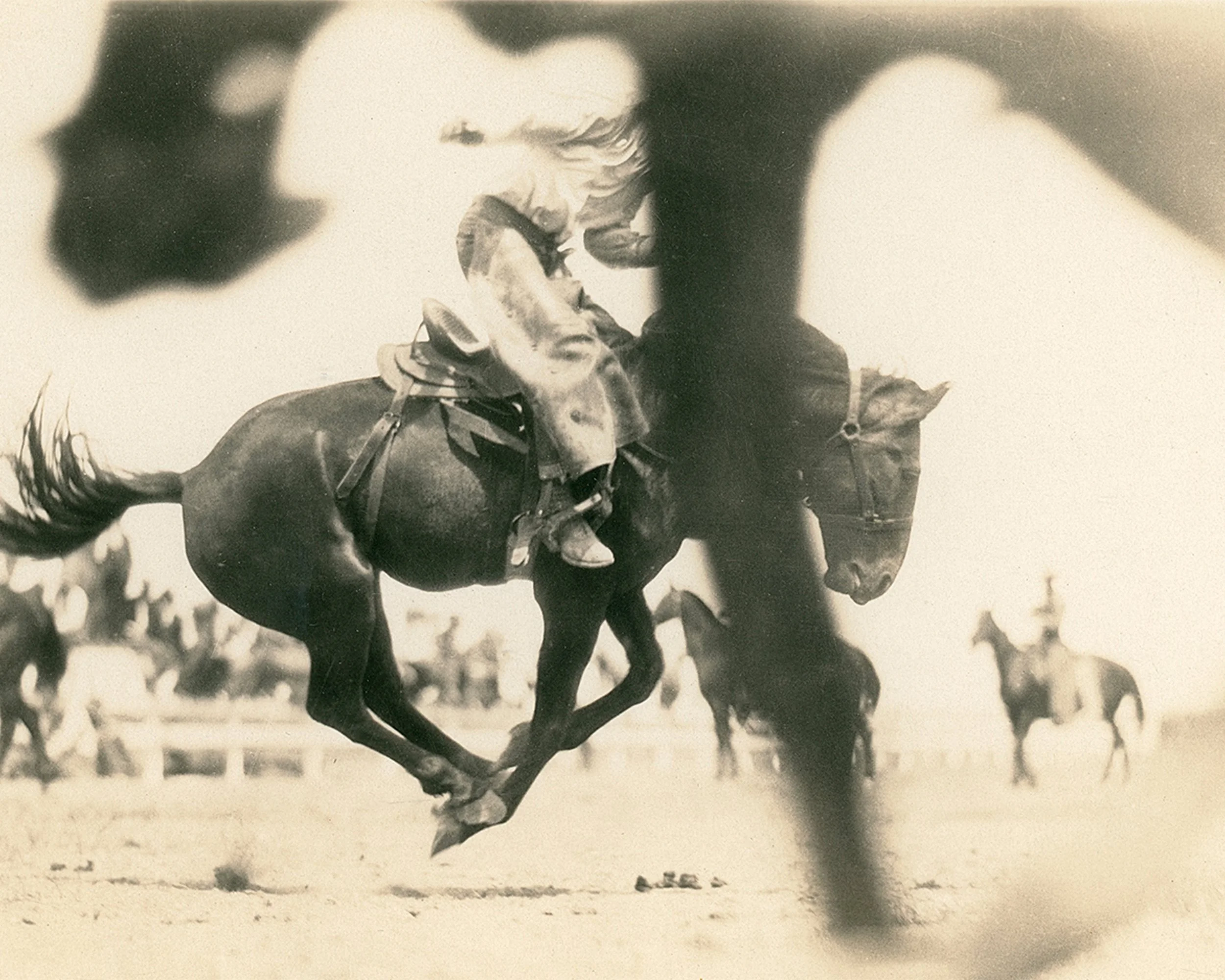 #376 A. R. Mitchell Photo Collection