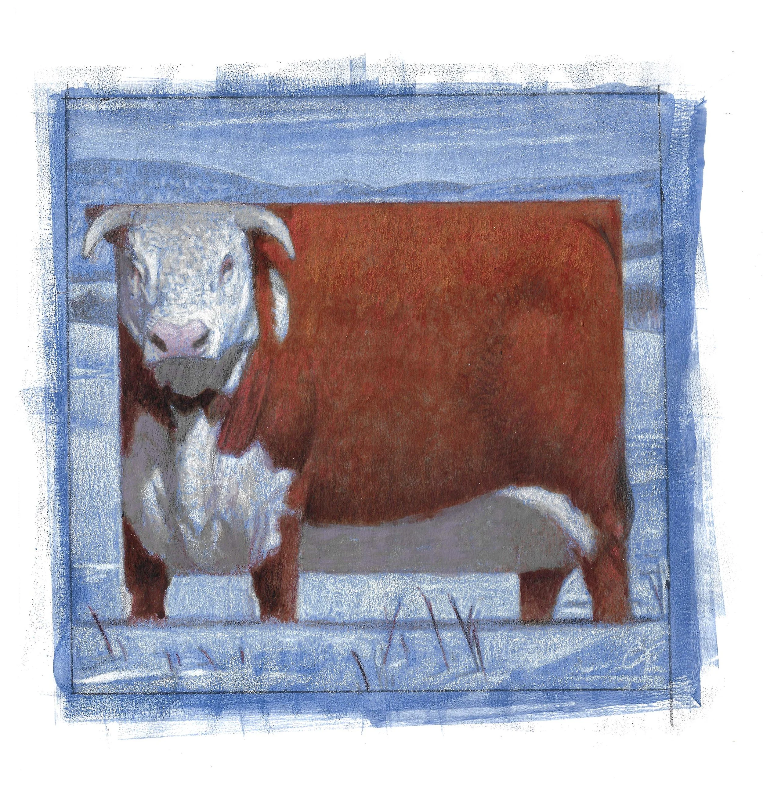 C.F. Payne - Wyoming Hereford Sketch