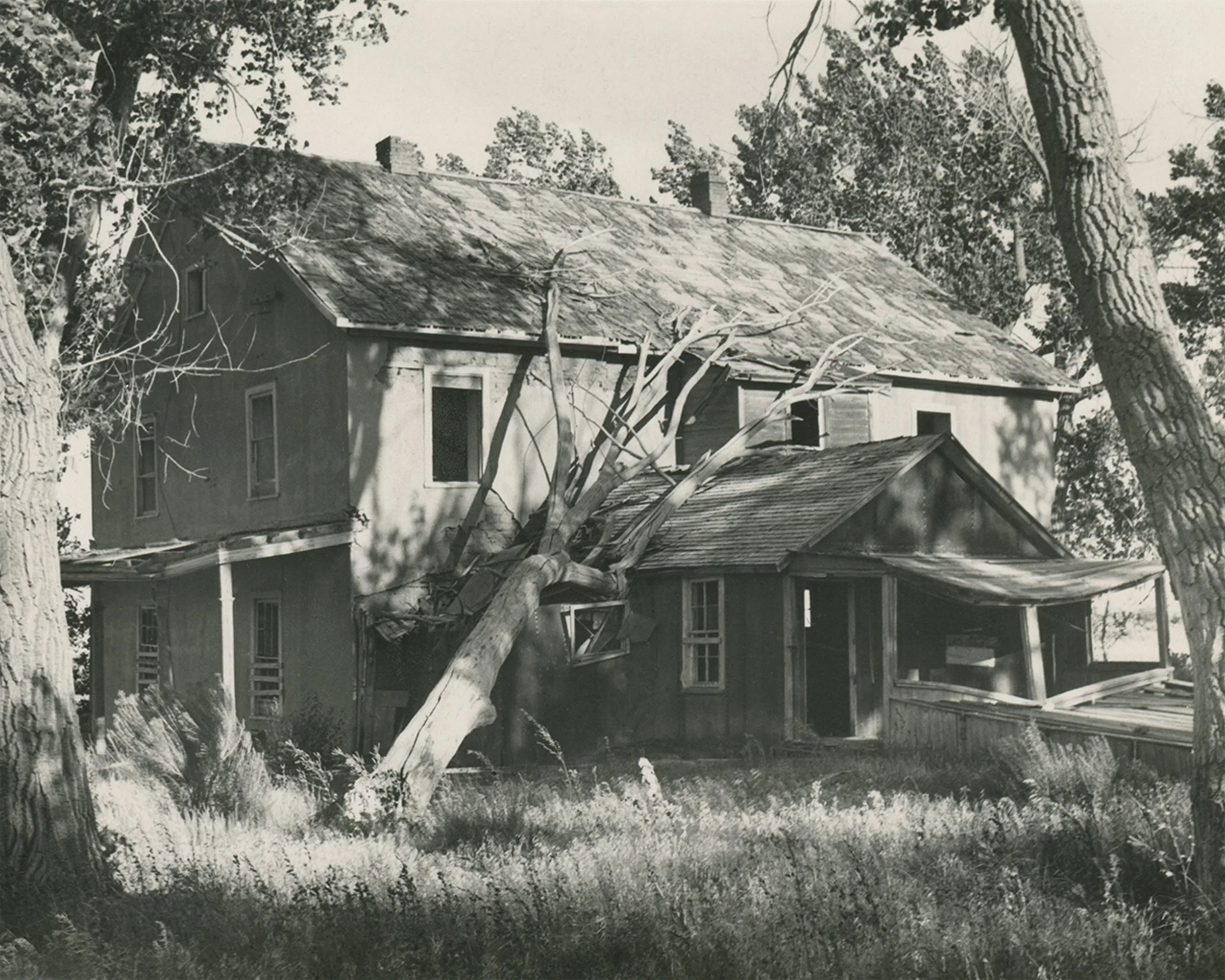 #1574 A. R. Mitchell Photo Collection