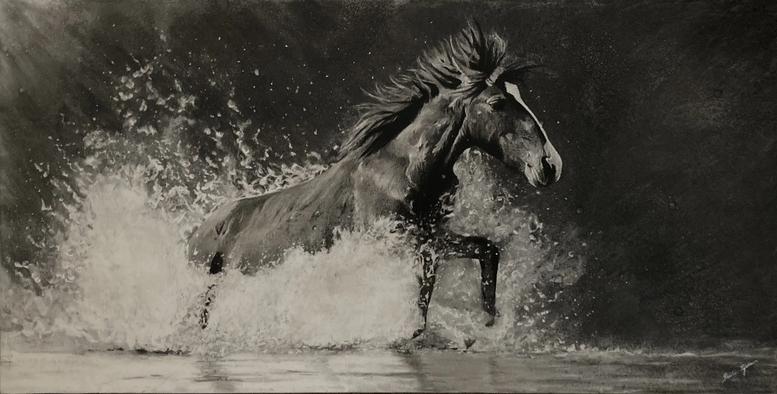 Sheila Gioia "Wild and Free"
