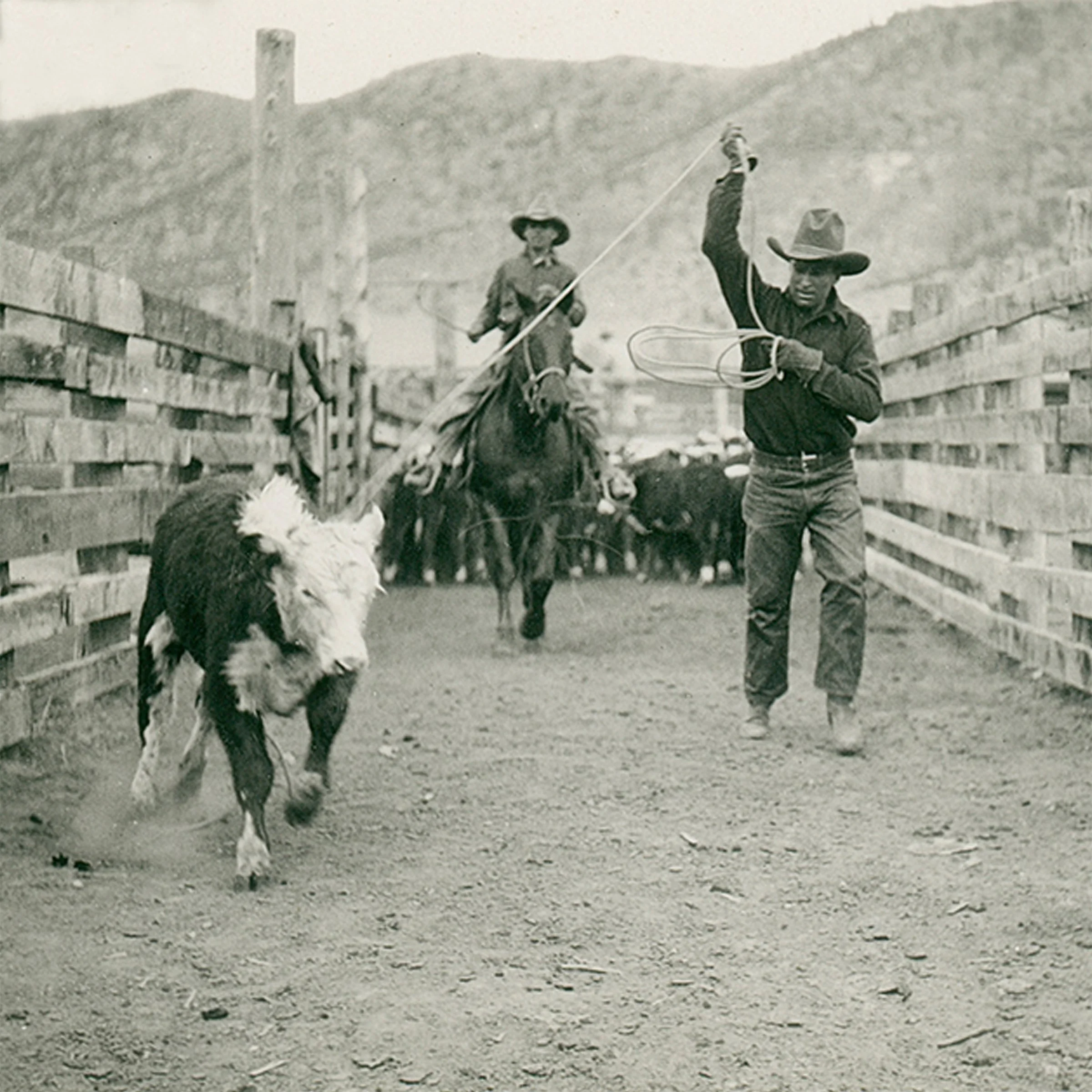 #762 A. R. Mitchell Photo Collection