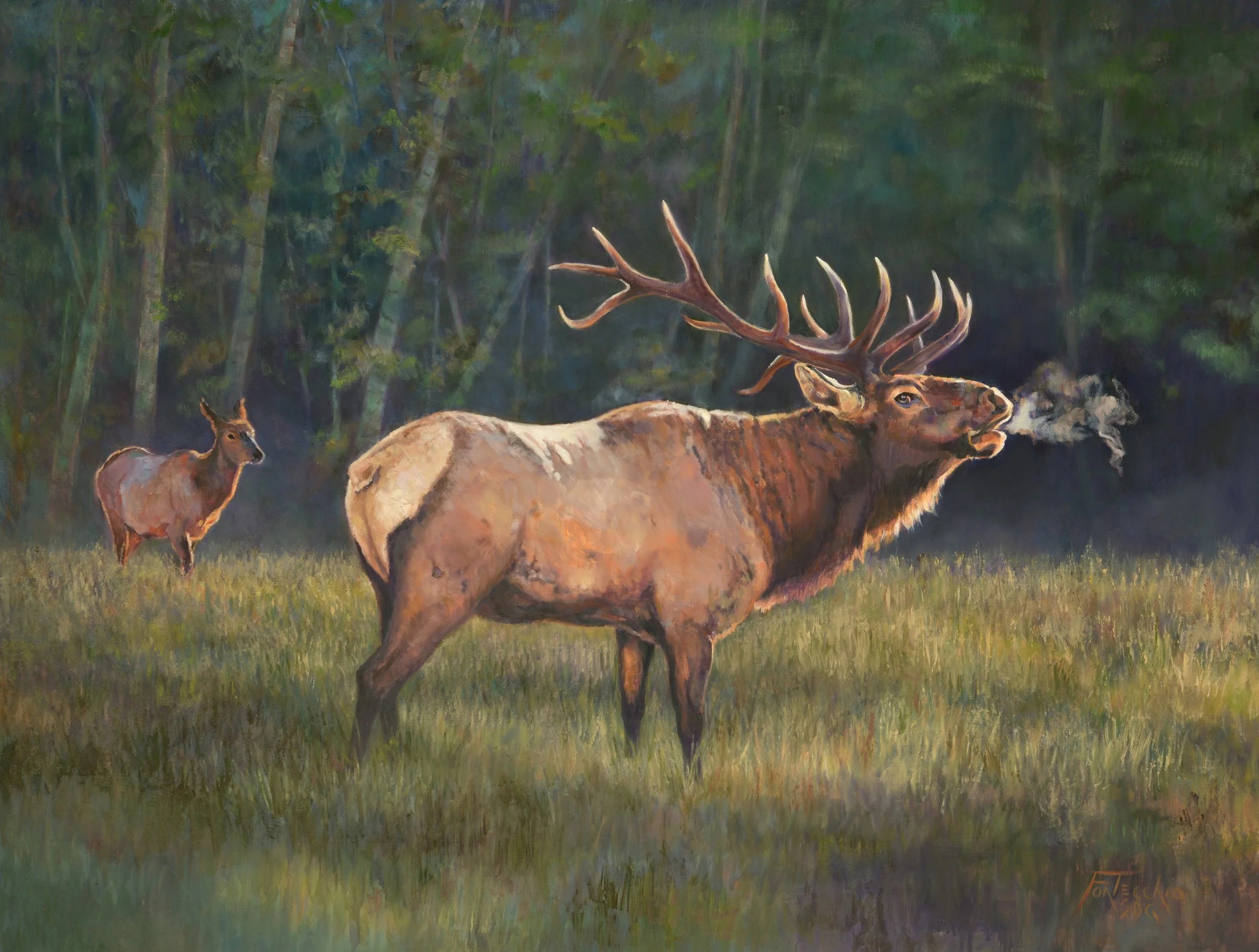 Jan Fontecchio "Serenade"