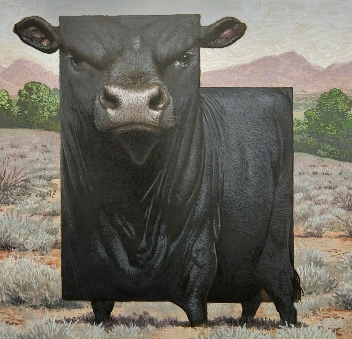C.F. Payne - Utah Black Angus