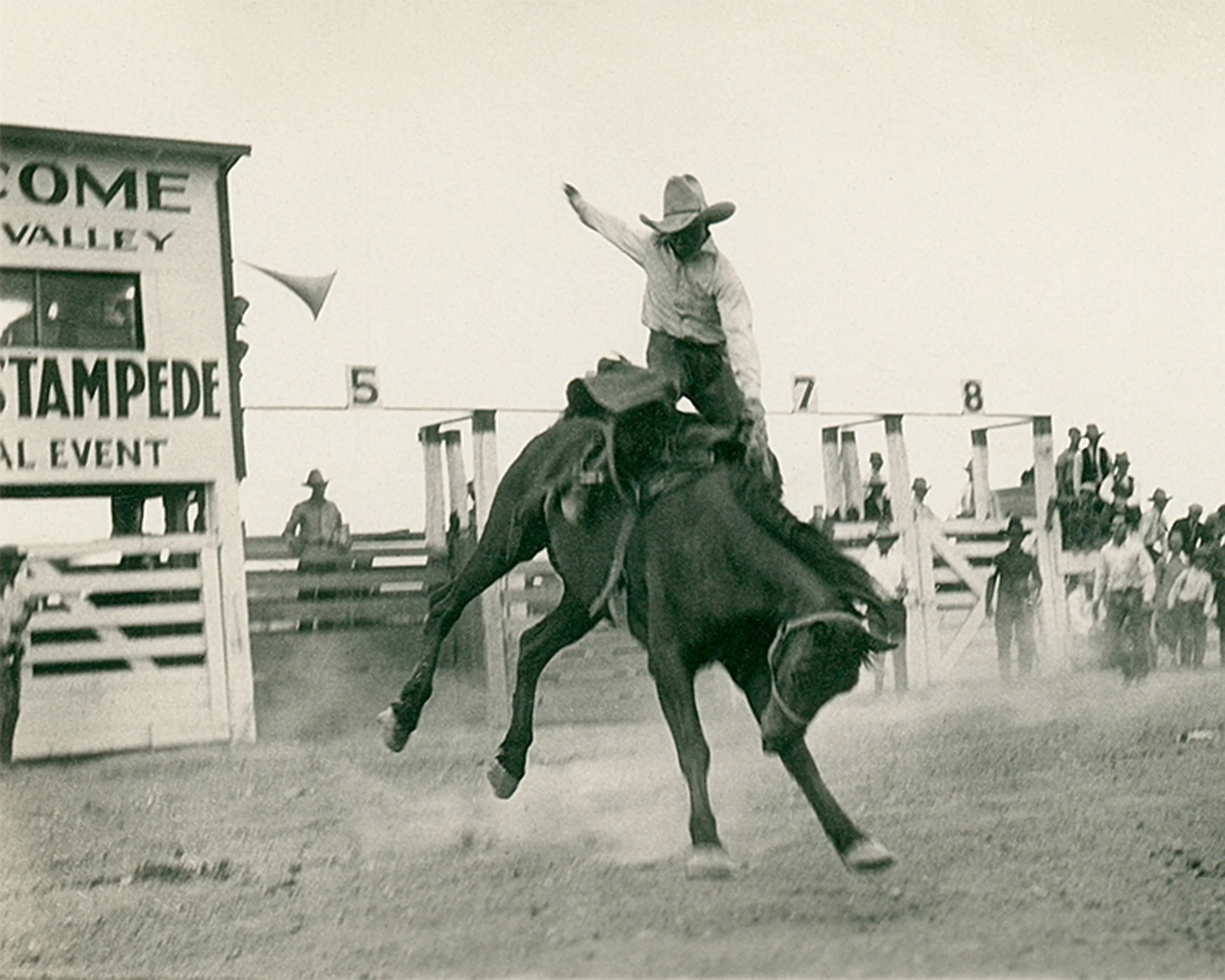 #856 A. R. Mitchell Photo Collection