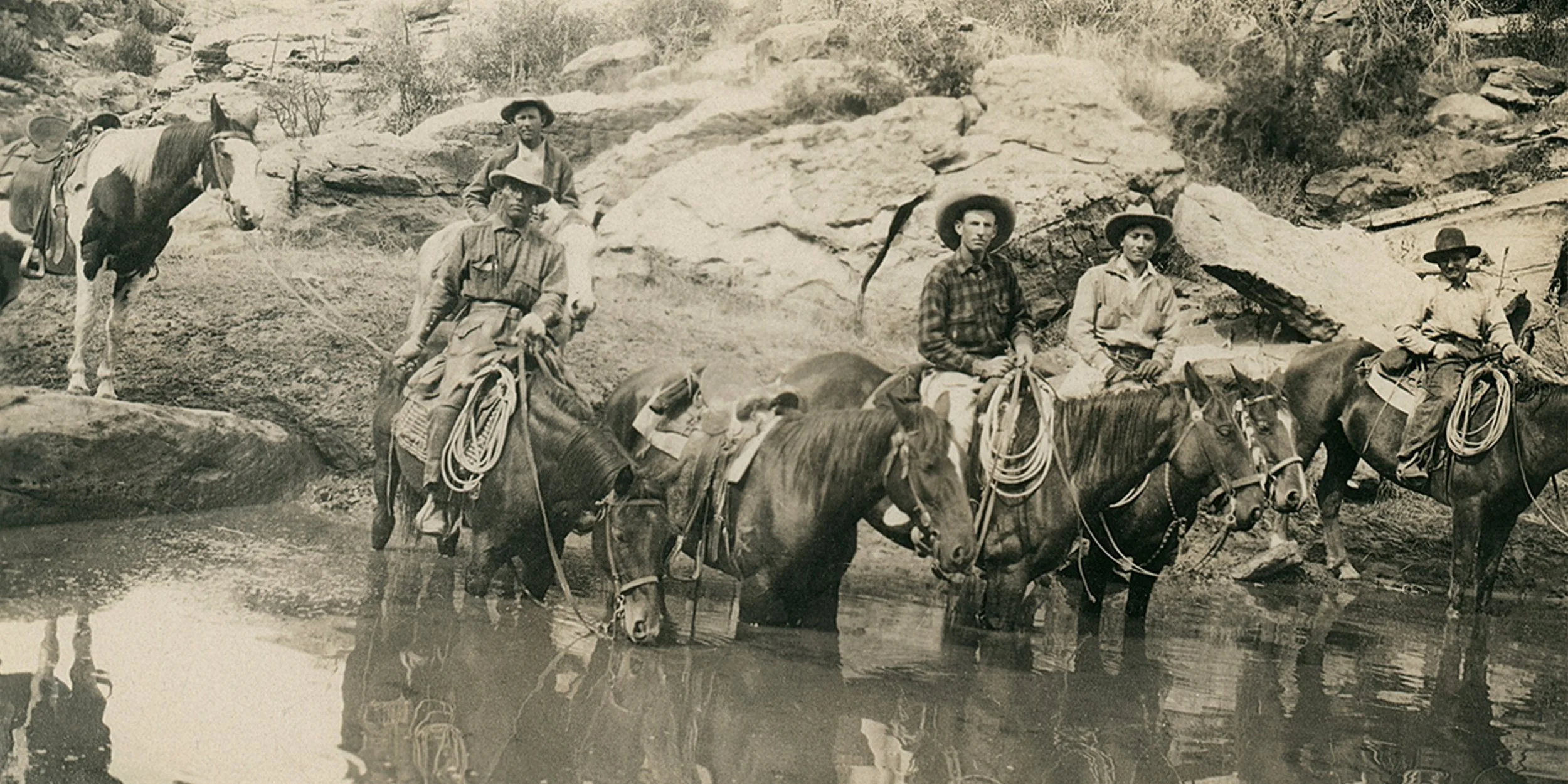 #351 A. R. Mitchell Photo Collection