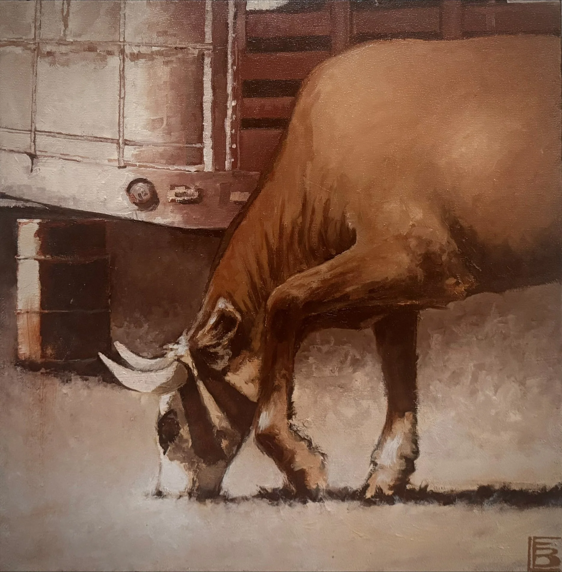 Lyndy Bush - Grazing
