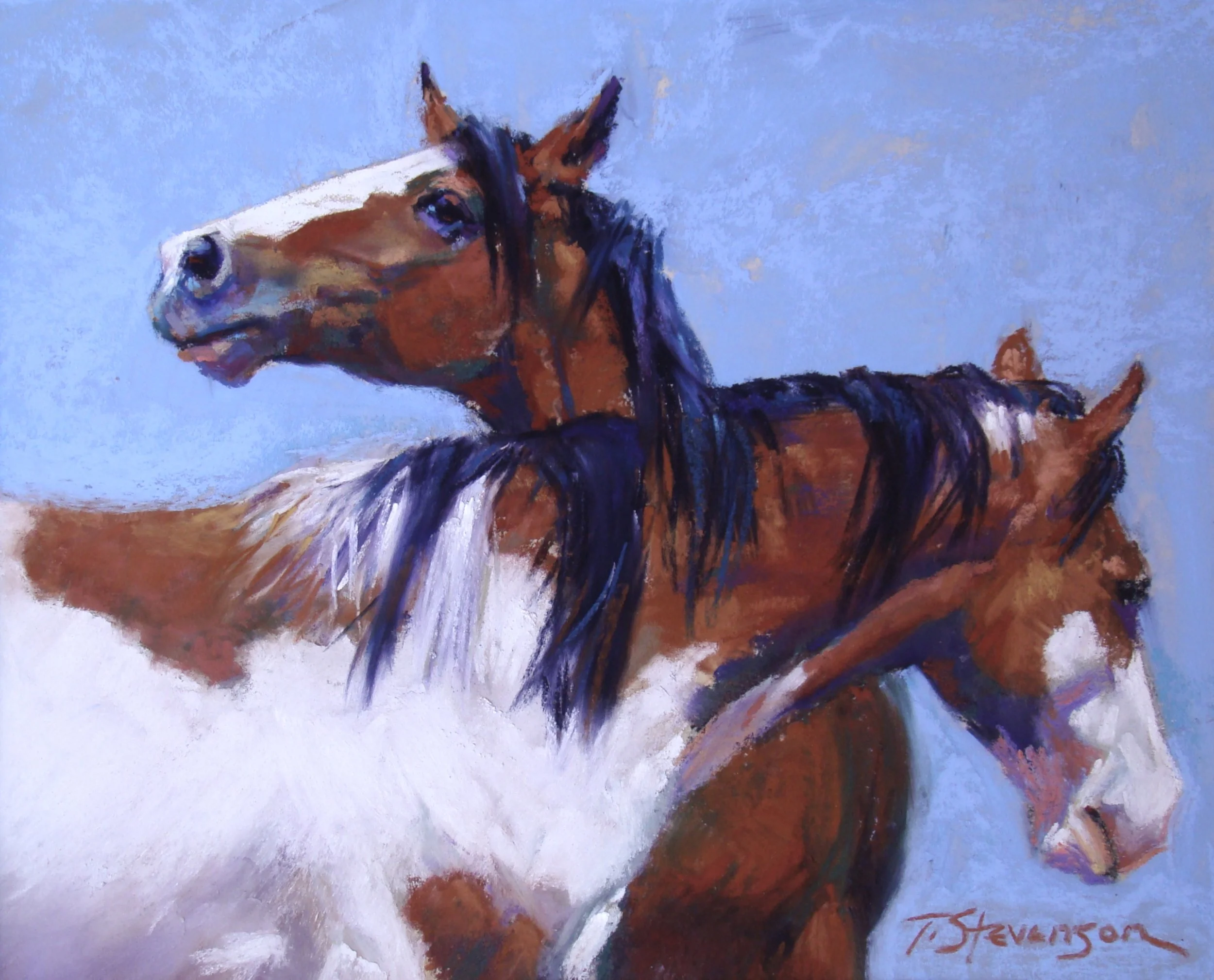 Trish Stevenson "Re-Arrangement"