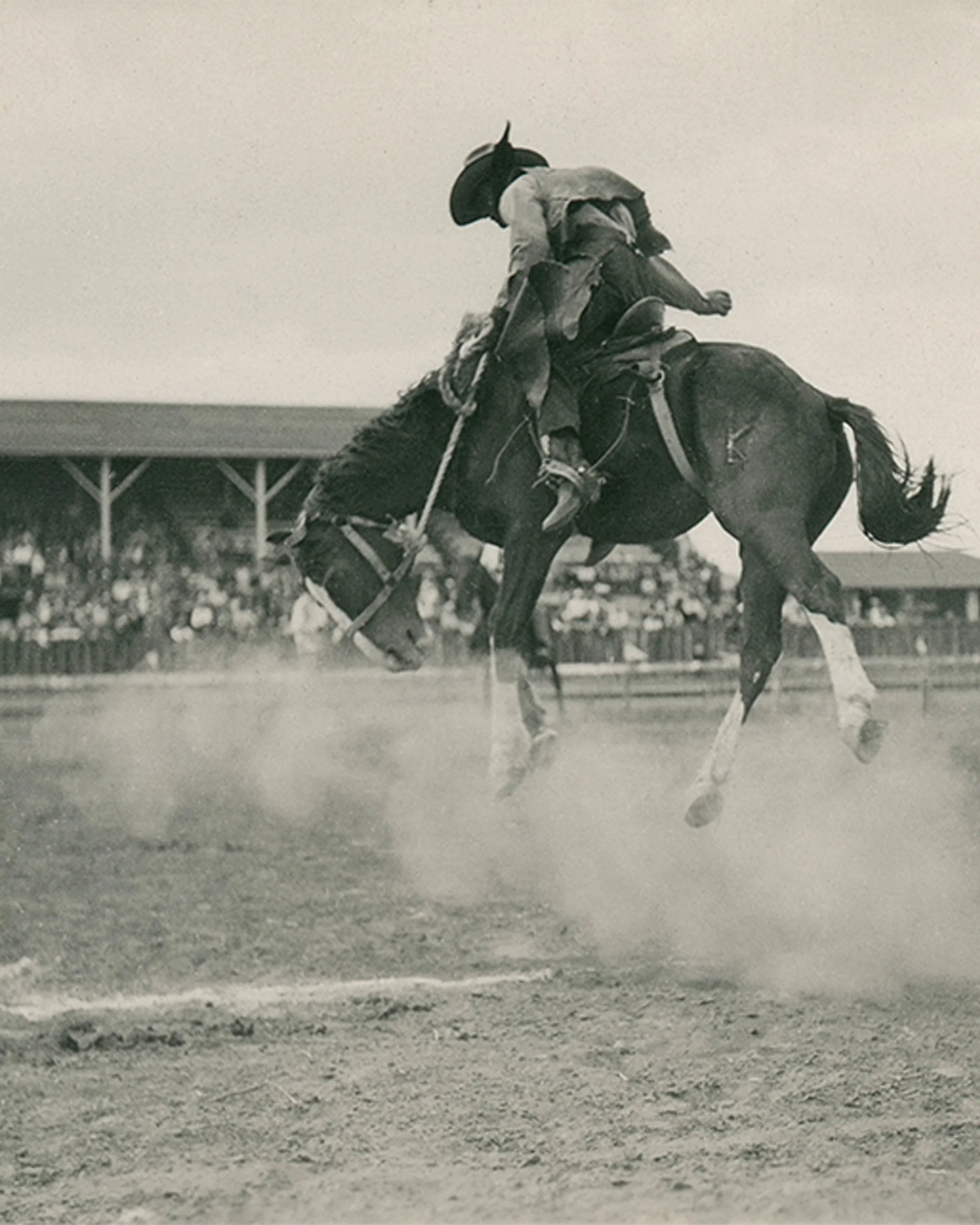 #228 A. R. Mitchell Photo Collection