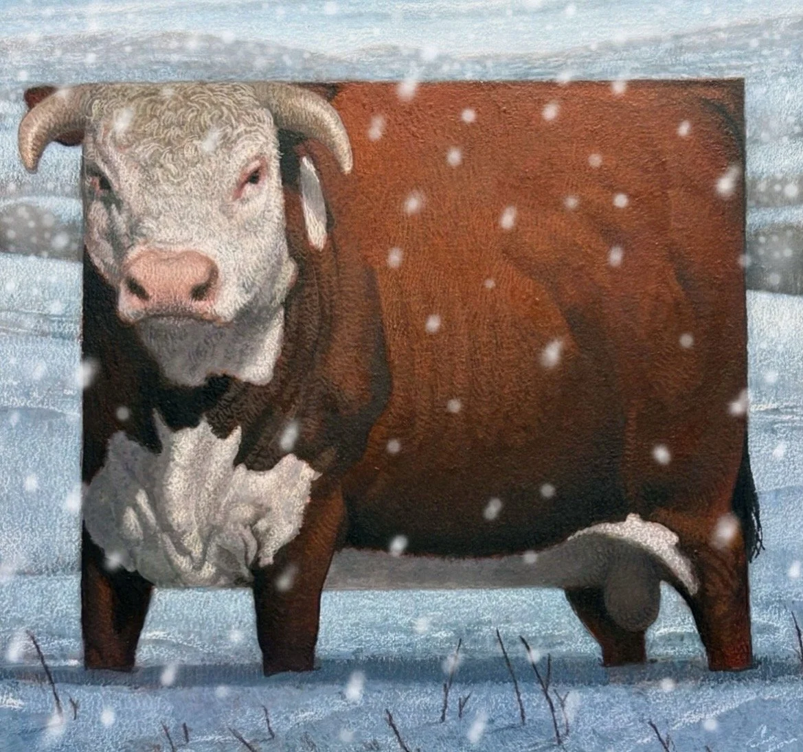 C.F. Payne - Wyoming Herford