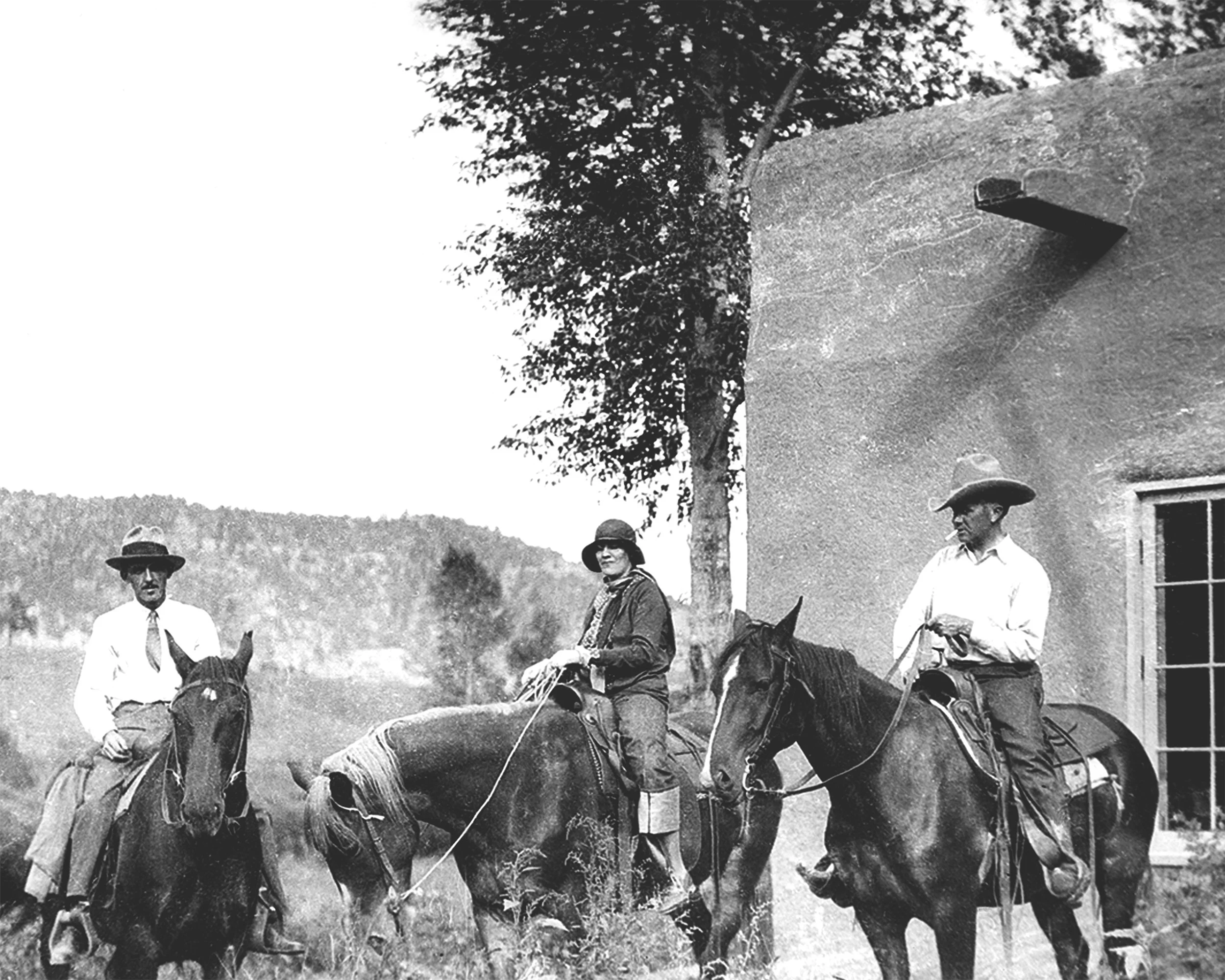 #1210 A. R. Mitchell Photo Collection