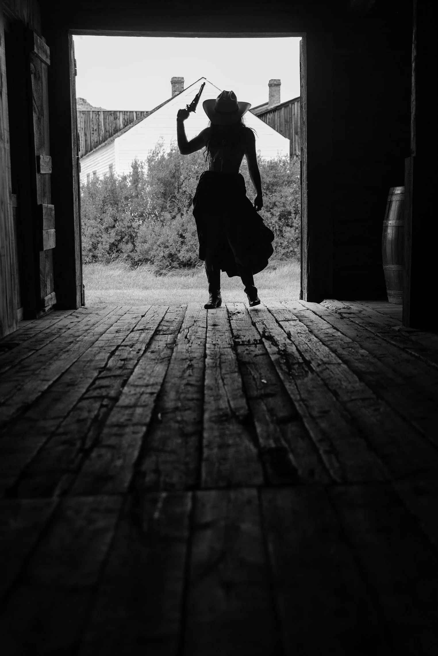 Cari Faye Antonovich "Last Light"