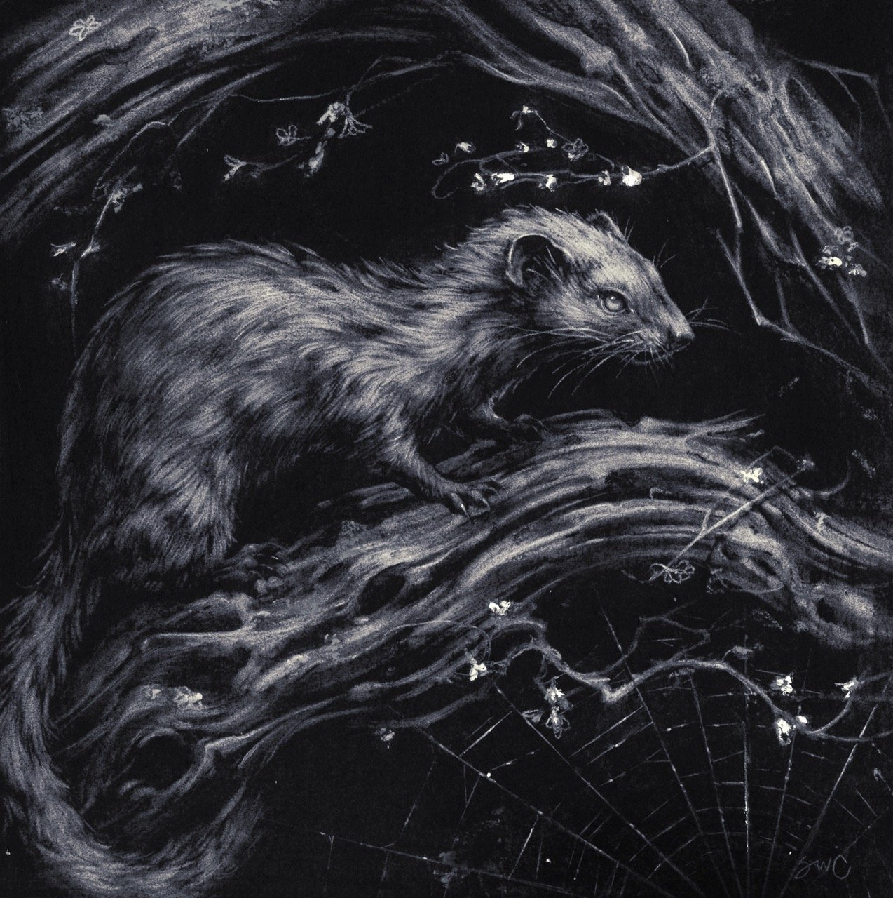 Sam Wolfe Connelly "Midnight Nimbus"