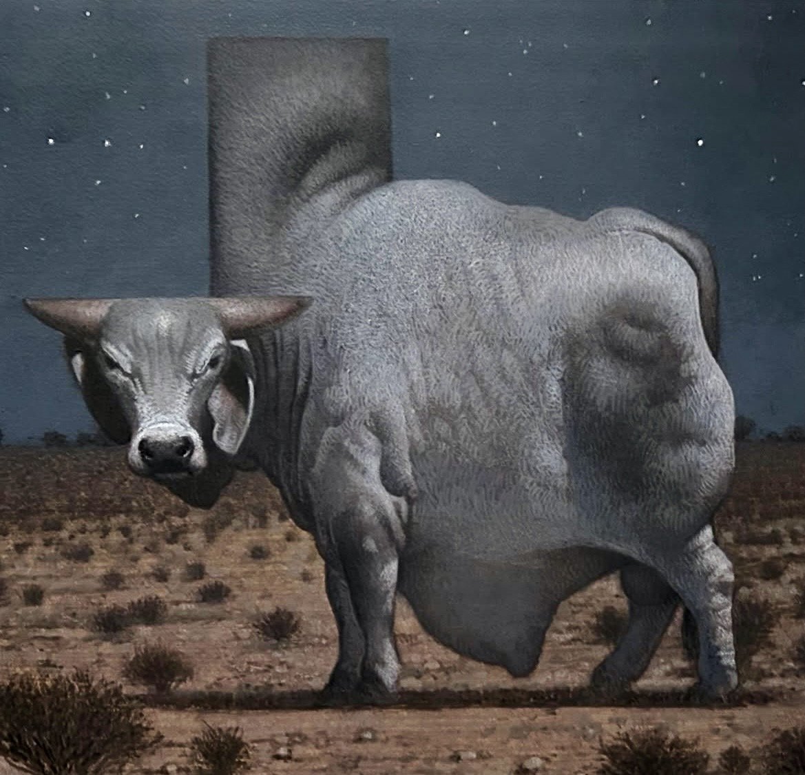 C.F. Payne Texas Brahman Bull