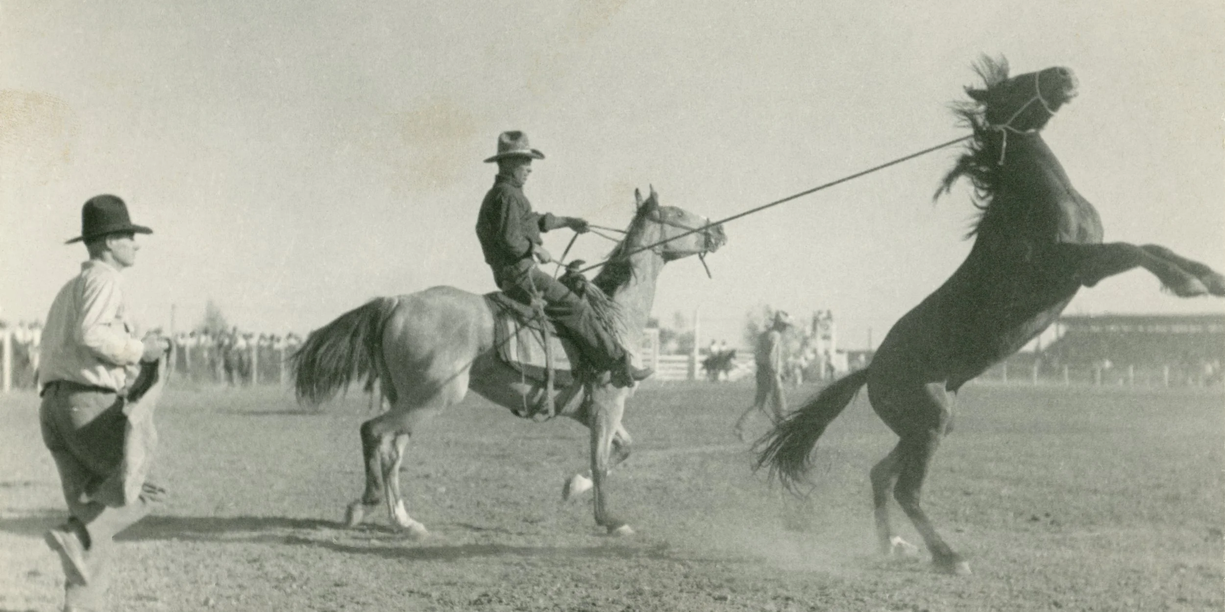 #1555 A. R. Mitchell Photo Collection