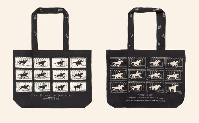 Thea Phillips "Muybridge Bag"
