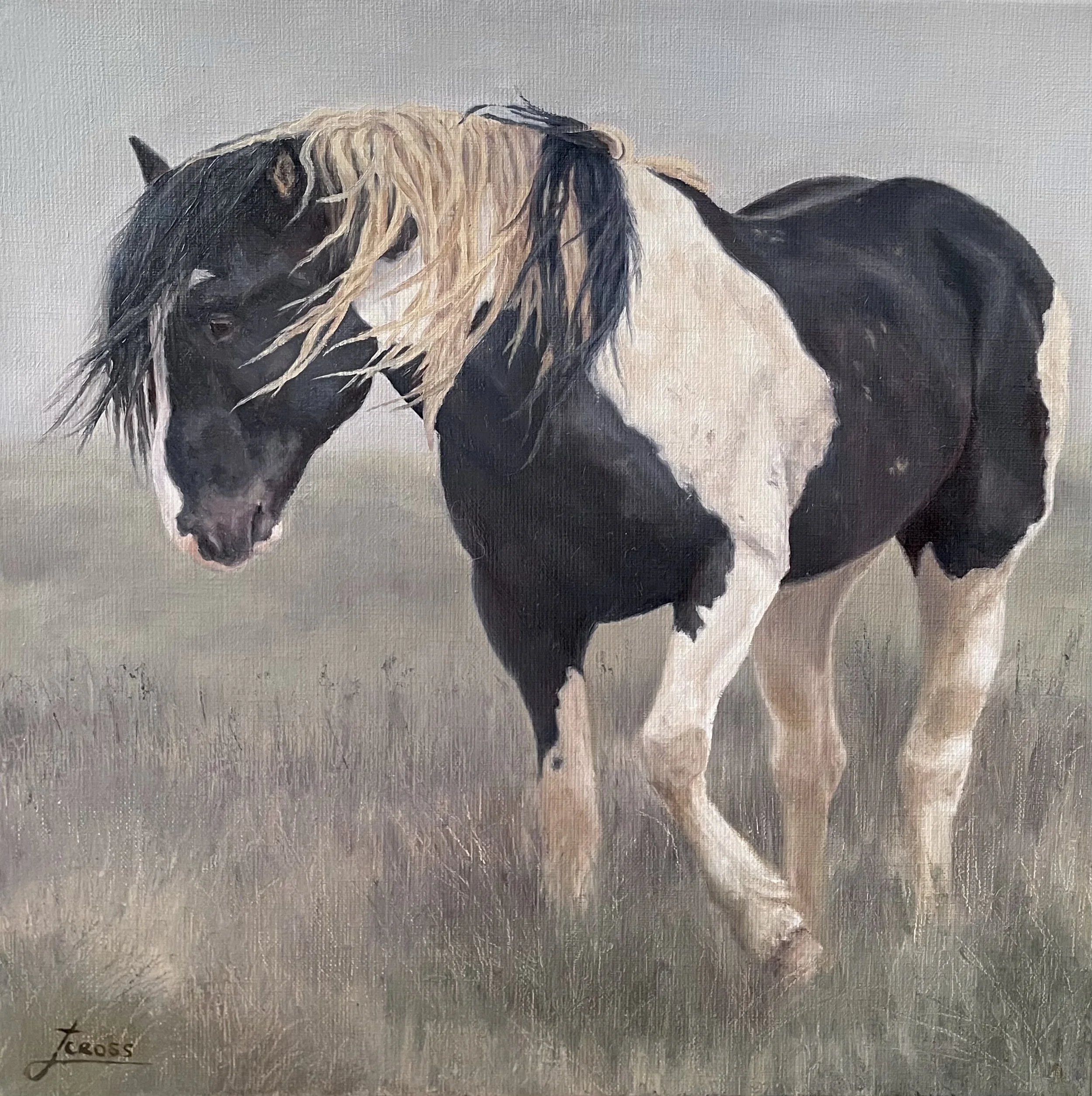 Jessica Cross "The Sentinel"