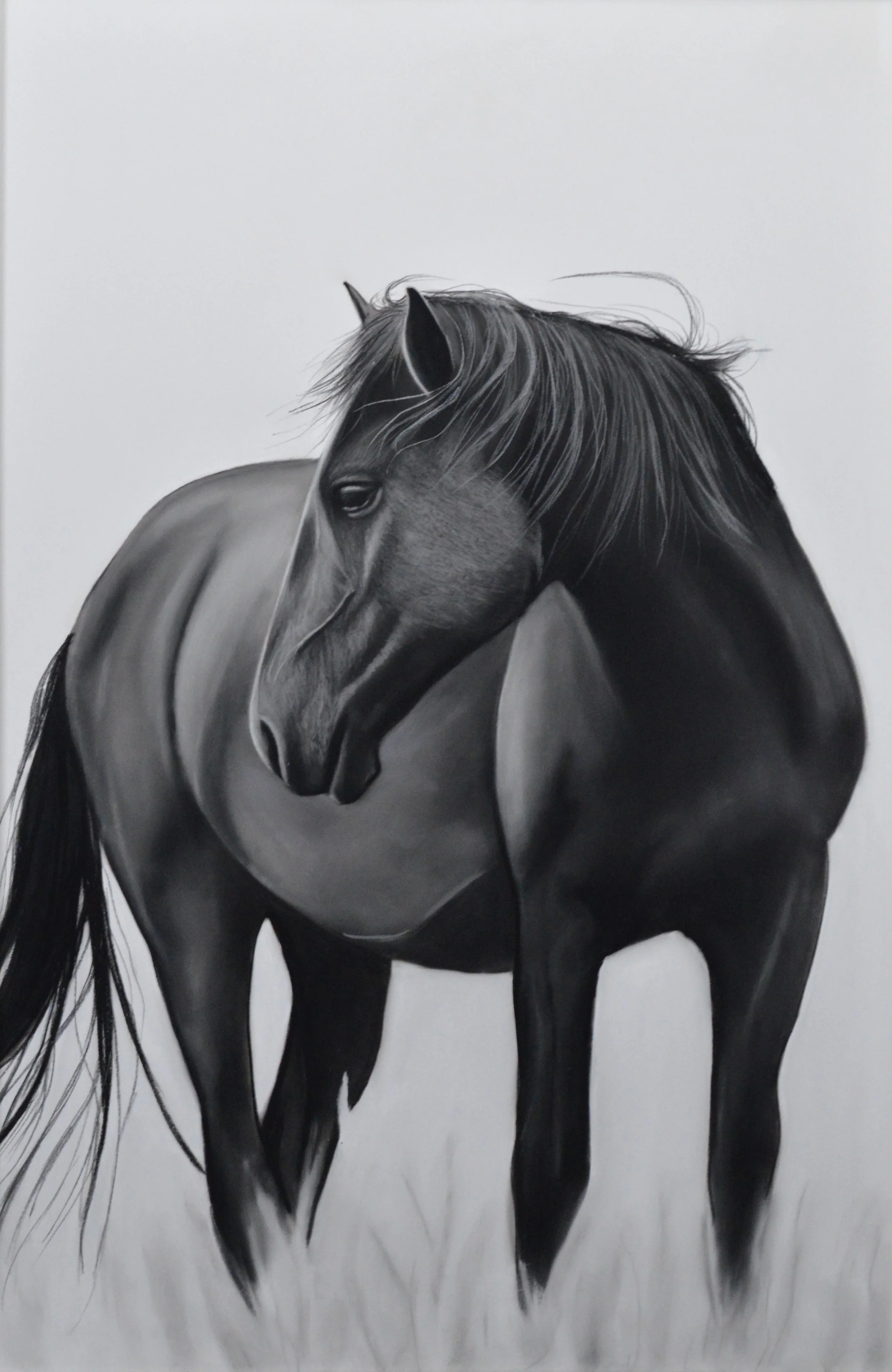 Allie Louise "A Quiet Moment"