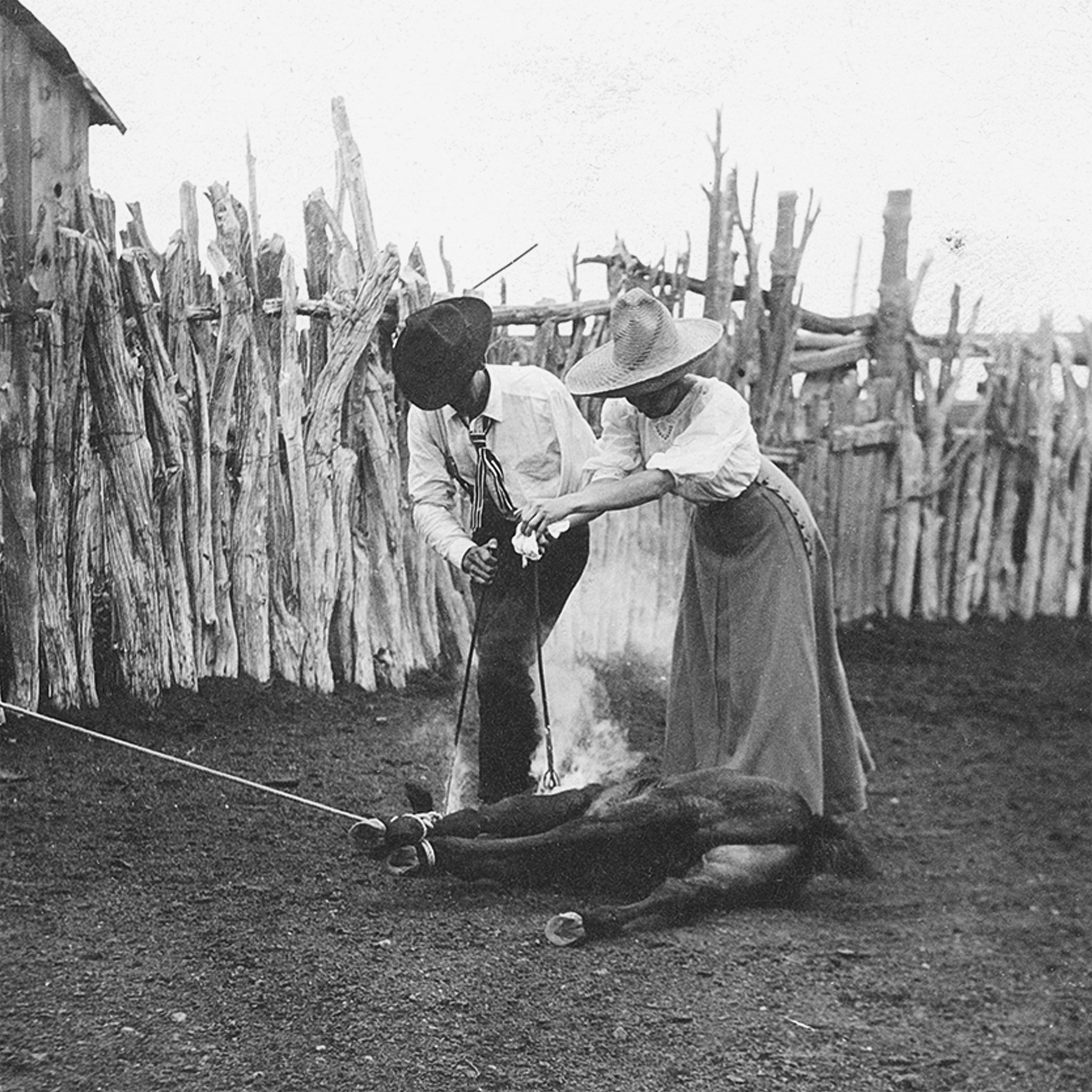 #1326 A. R. Mitchell Photo Collection