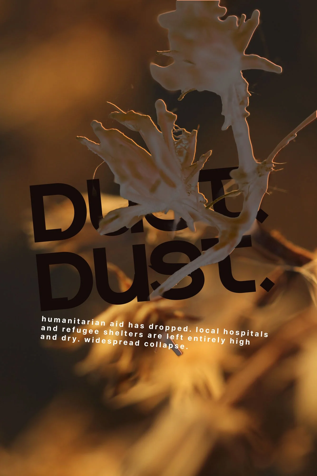 DUSTDUST_01.jpg