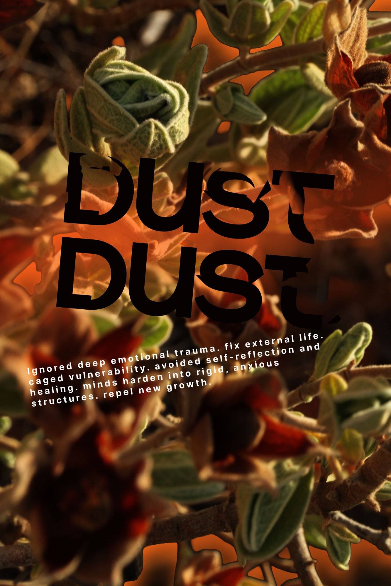 DUSTDUST_06.jpg