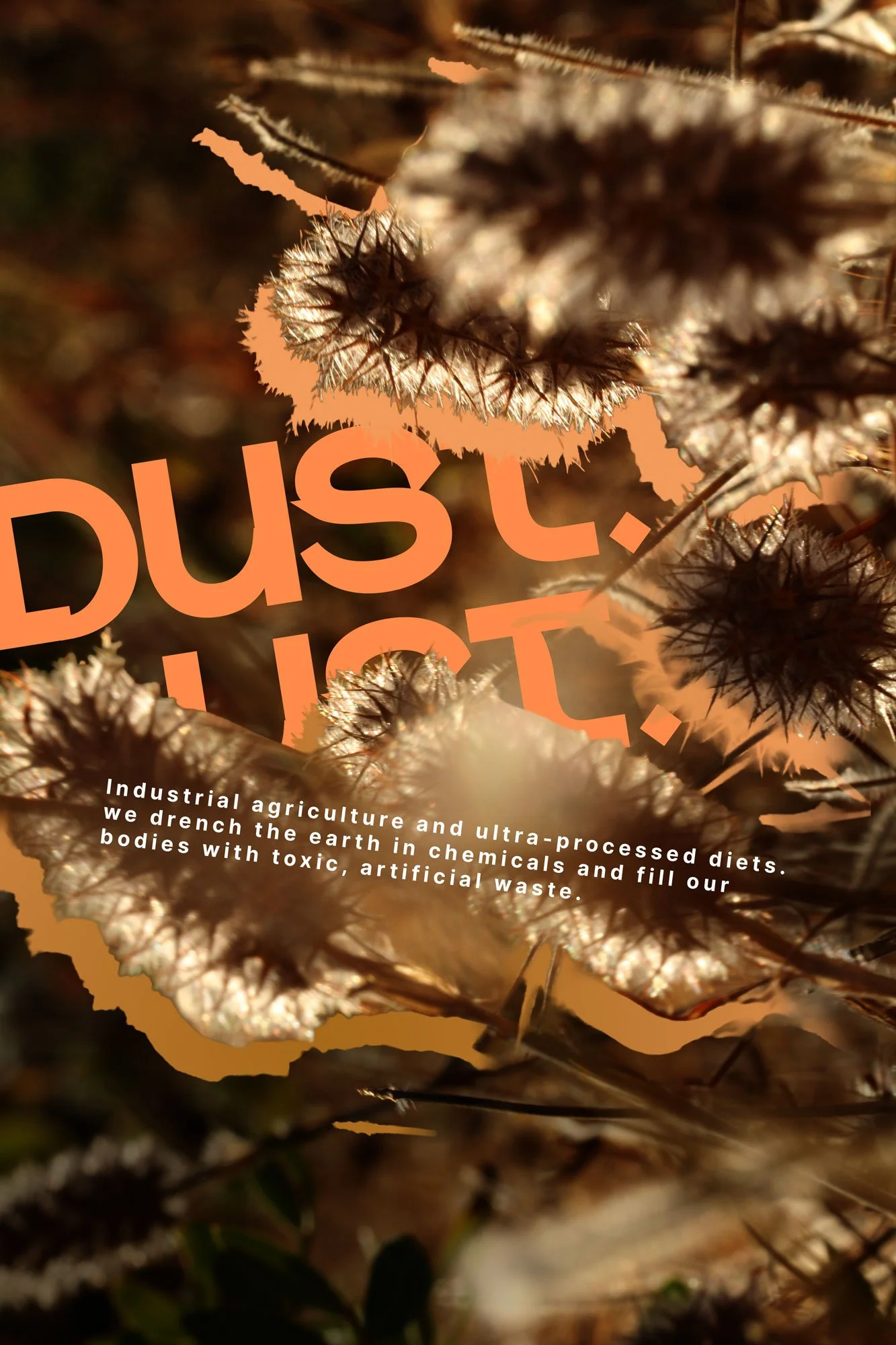 DUSTDUST_04.jpg