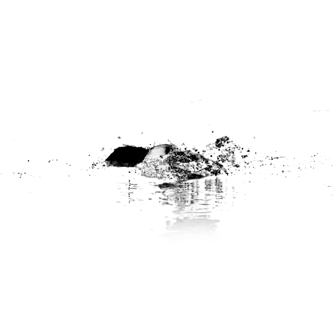 keep swimming
