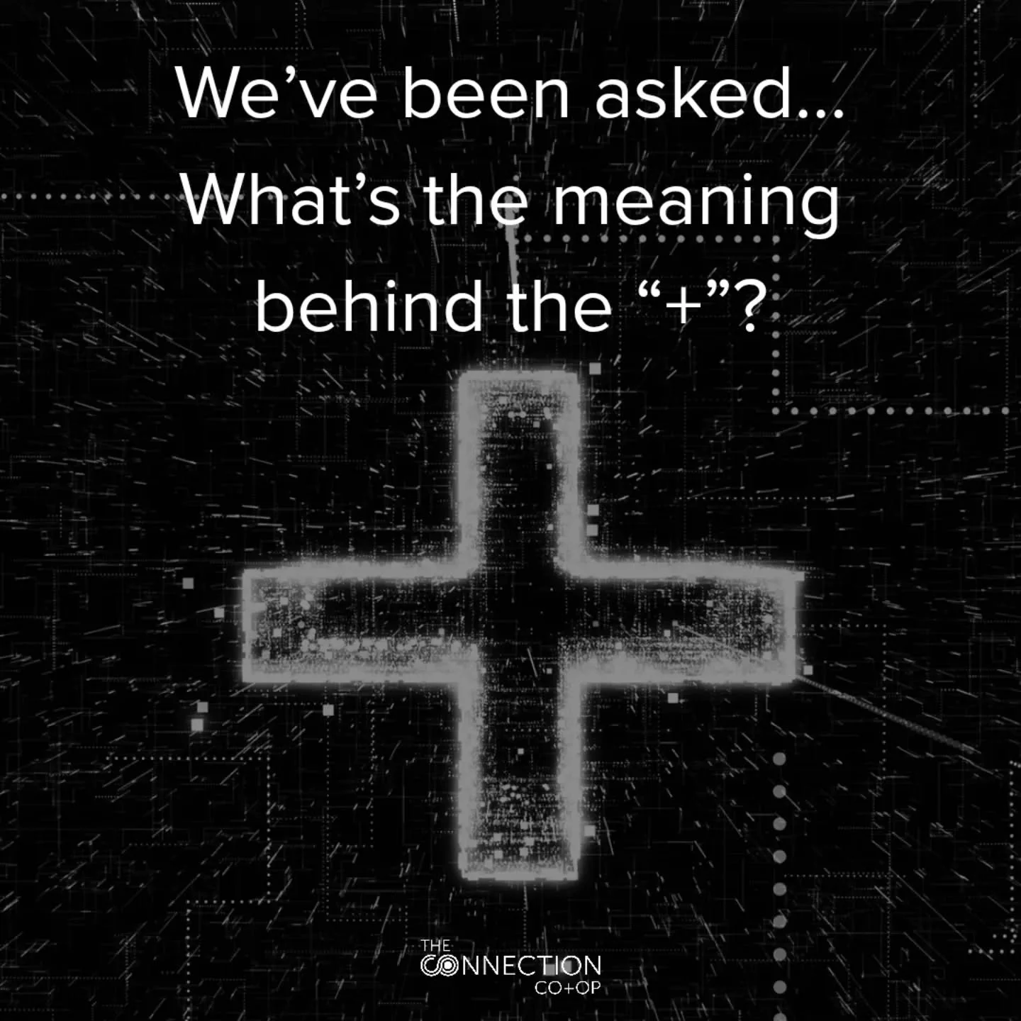 The &ldquo;+&rdquo; has always meant something more.

It is connection.
It is the positive polarity + the heart within the duality of life.
It is what builds community, what softens edges, what reminds us to lead with compassion + love.

Every offeri