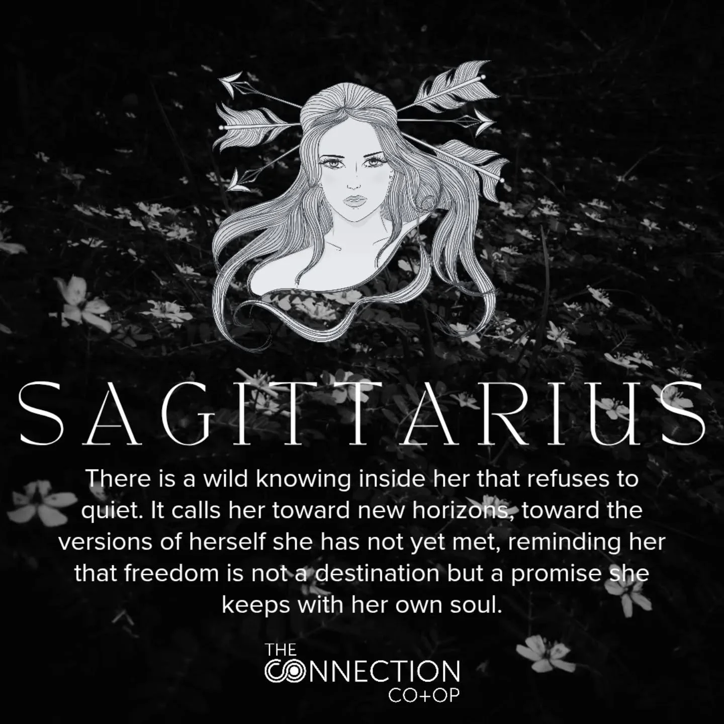 Sagittarius season arrives with a wild inner pull.
A call toward truth, expansion, + the horizons we&rsquo;re finally ready to meet.
A reminder that freedom begins within.

Strengths:
Expansive vision
Optimism
Courage
Adventure 

Challenges: 
Restles