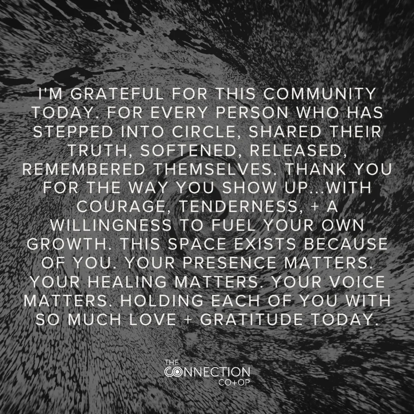 I'm incredibly grateful for this community. For every person who has stepped into a circle, shared their truth, softened, released, breathed together + remembered your power...your courage + your presence are what make this space real.

This season c