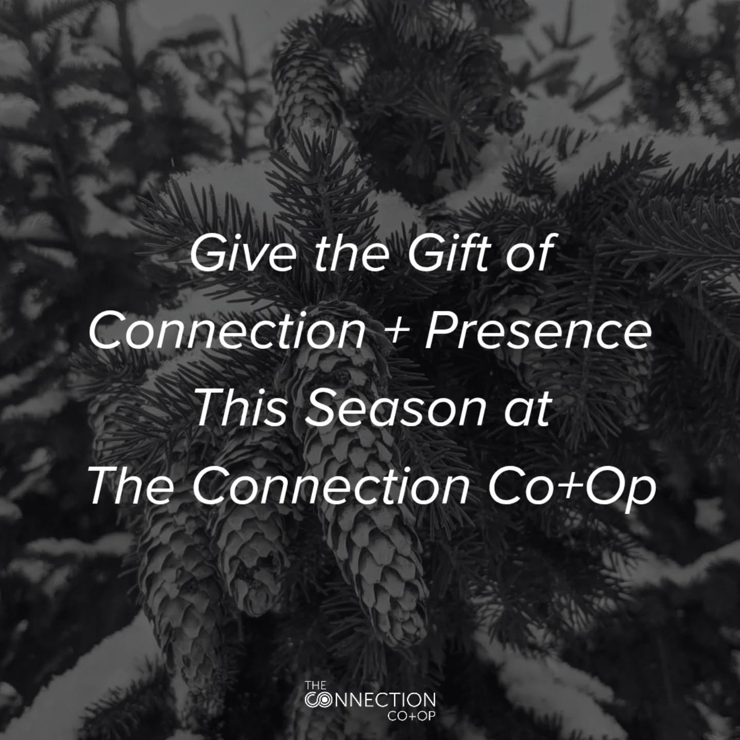Winter invites us inward.
Toward quiet, reflection + the medicine of presence.

If you&rsquo;ve been wanting to gift something meaningful this season&hellip;
something that nourishes, softens + truly supports someone&rsquo;s inner world&hellip;now is