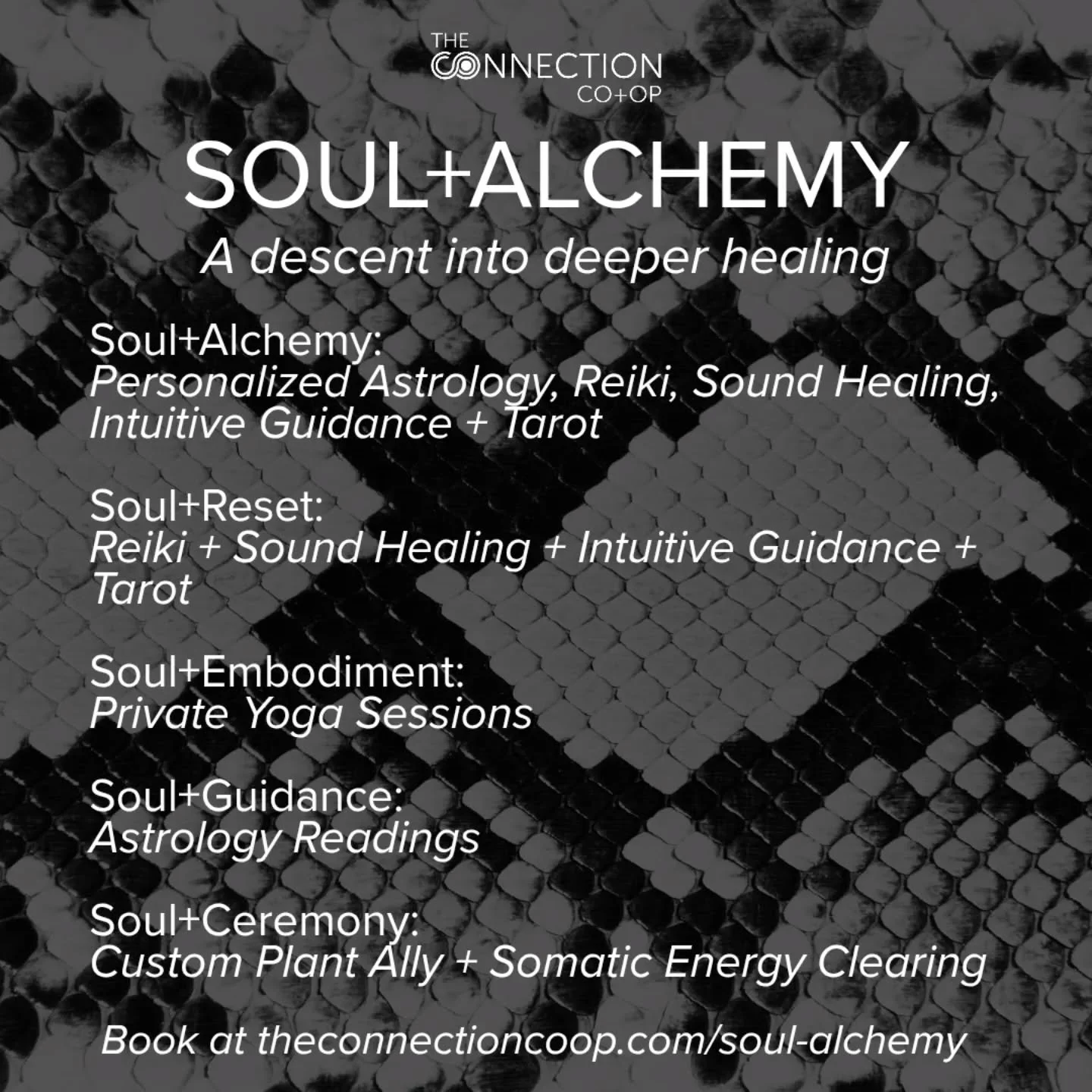 Soul+Alchemy is the full descent...the place where astrology, reiki, sound, tarot + intuitive guidance converge to illuminate what&rsquo;s been waiting beneath the surface.

But this is only one doorway into the work of alchemy.

For those longing fo