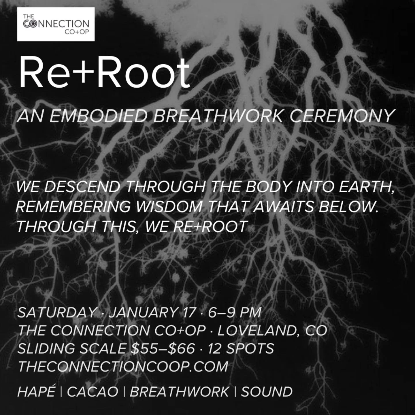 Re+Root is not about escape.
It is about descent.

This embodied breathwork ceremony invites you to move downward through the body, into the places where tension, memory, + survival patterns are stored. 

Through breath, sound, + sacred plant allies,