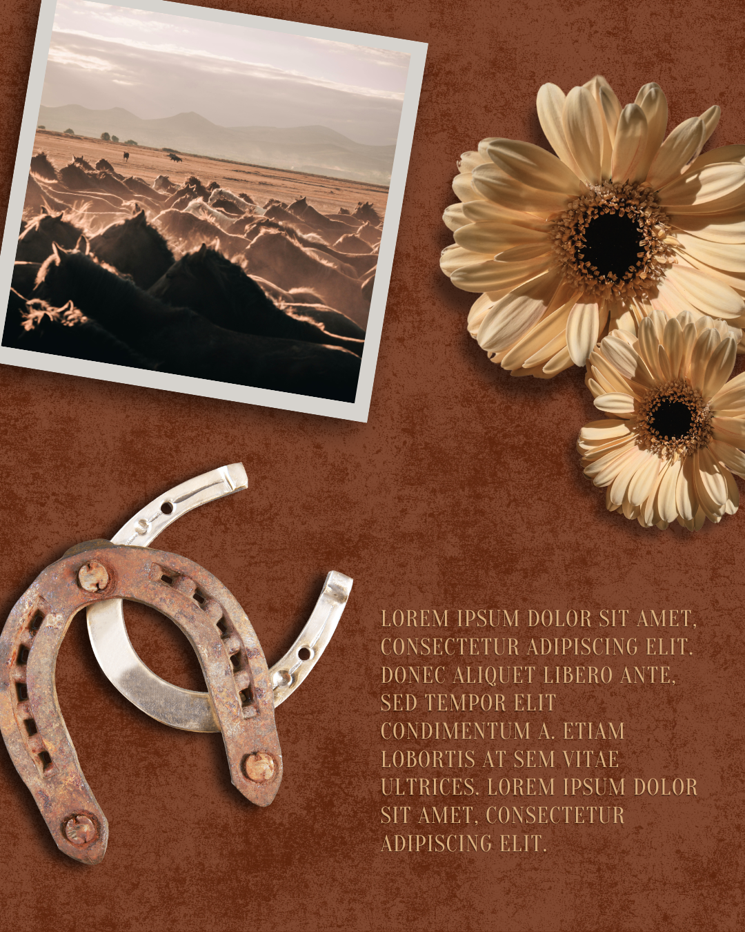 Meet The Author Carousel_1.png