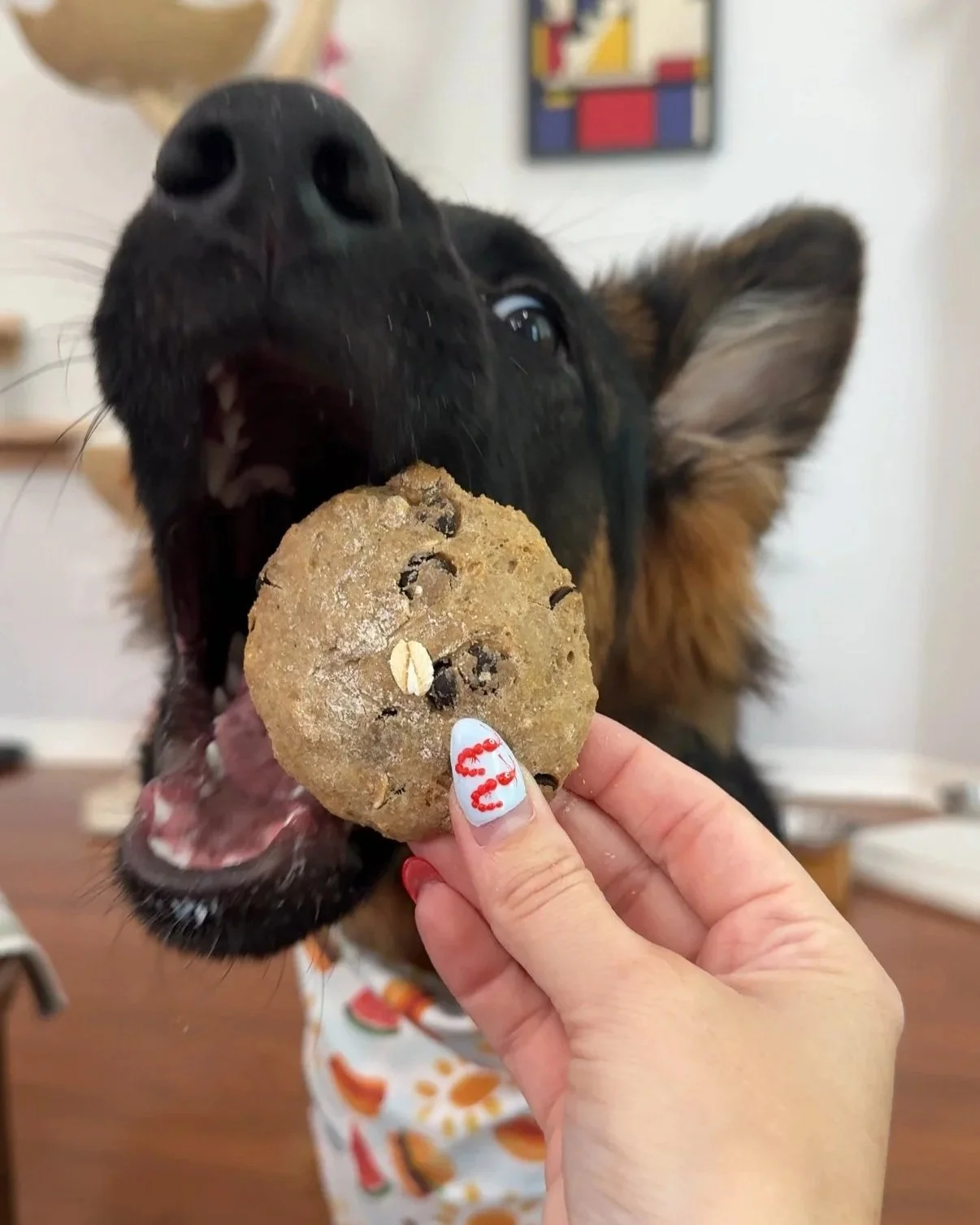 Dog-Safe "Chocolate" Chip Cookies