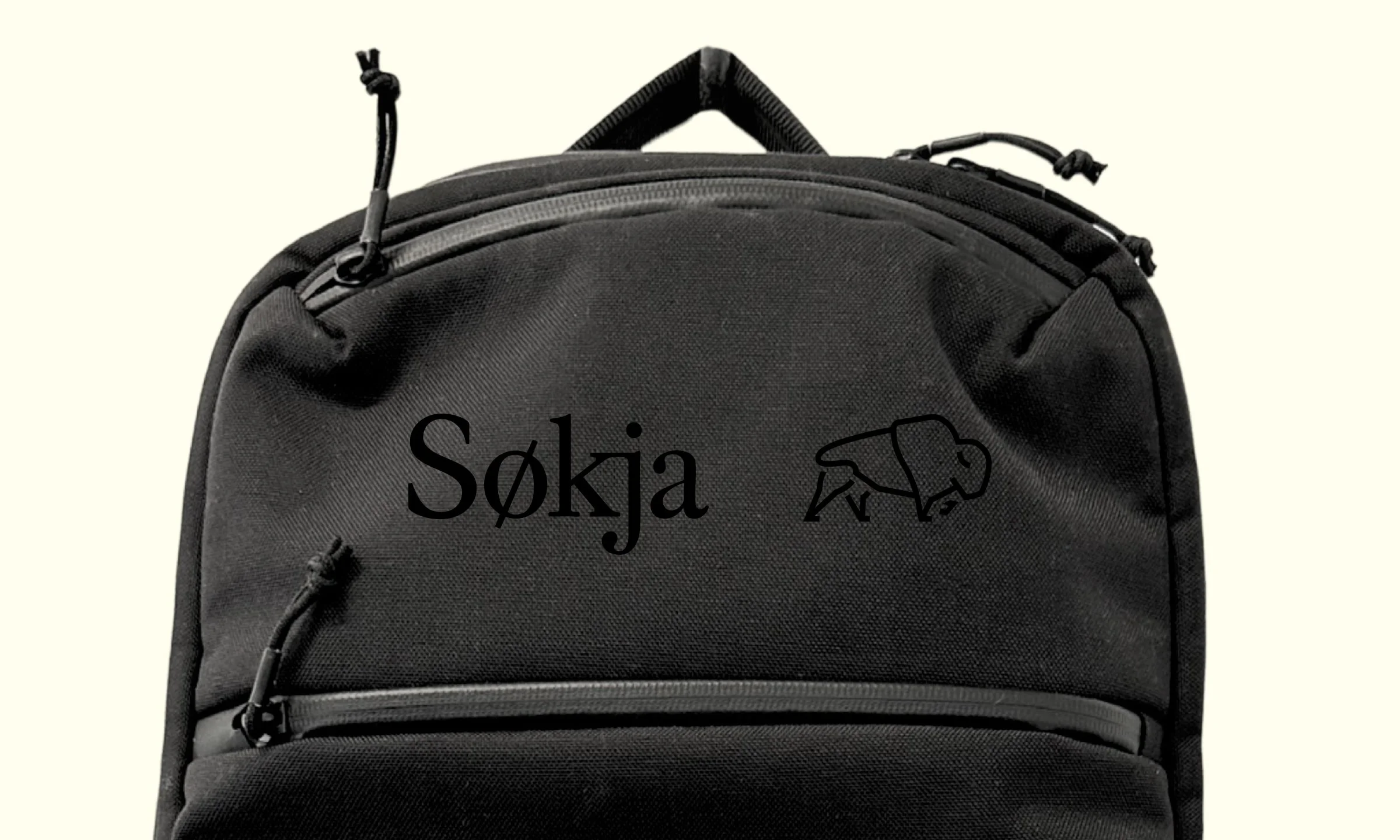 Søkja bag