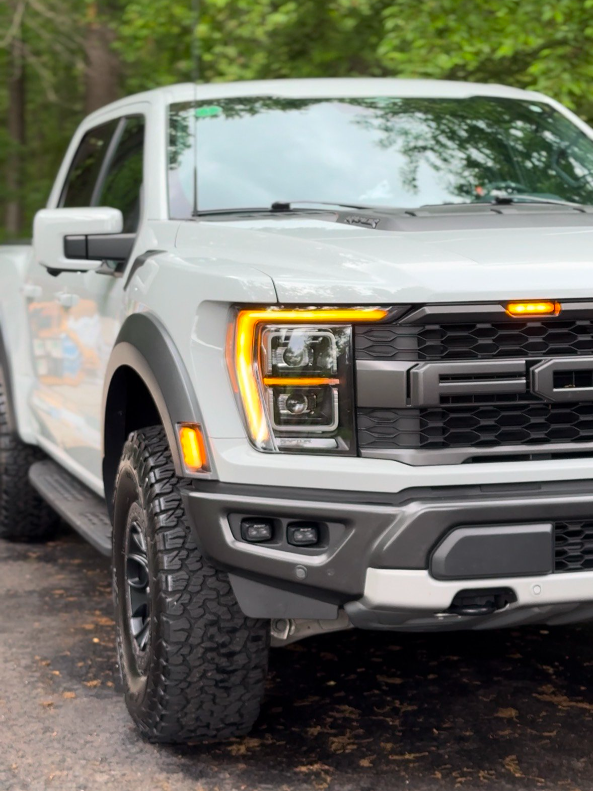 Gray pickup truck parked outdoors on a paved surface with trees in the background.