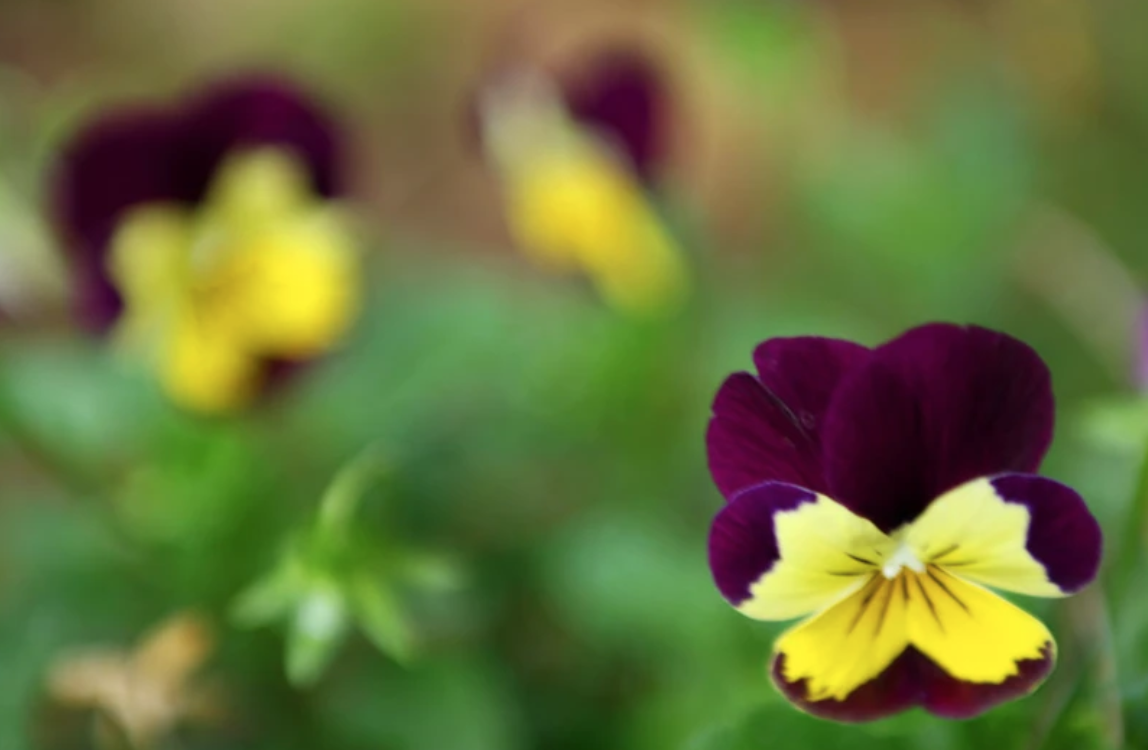 Screen Shot 2023-05-12 at 9.18.07 PM.png