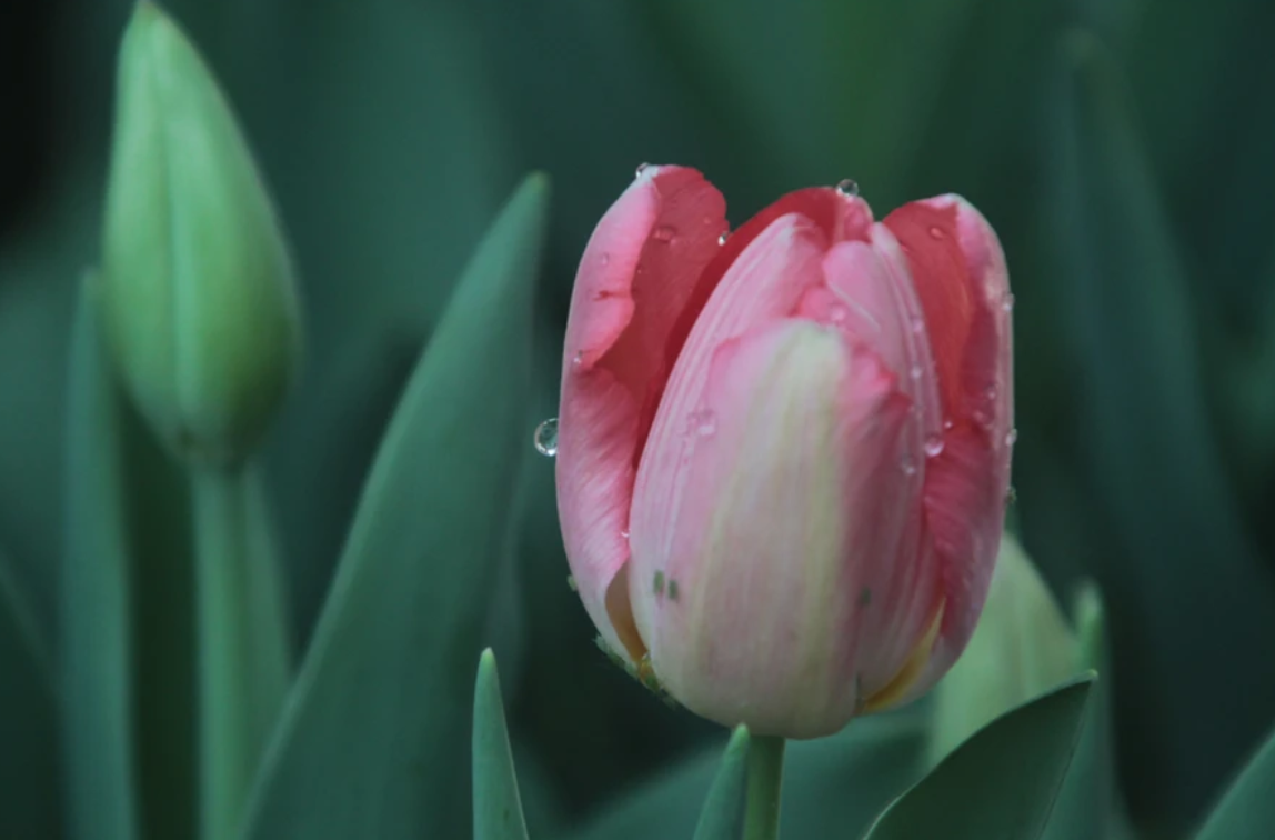 Screen Shot 2023-05-12 at 9.18.32 PM.png