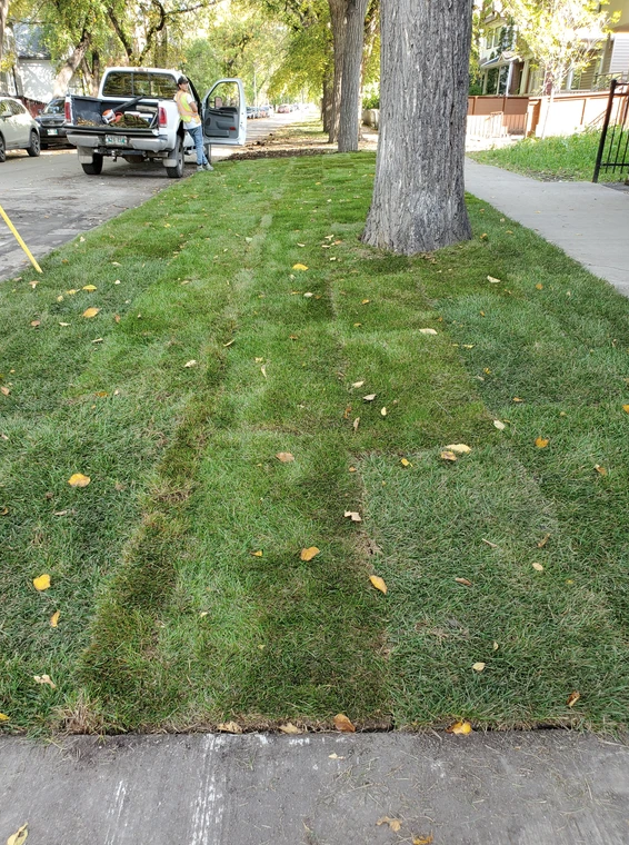 Screen Shot 2023-05-12 at 9.18.01 PM.png