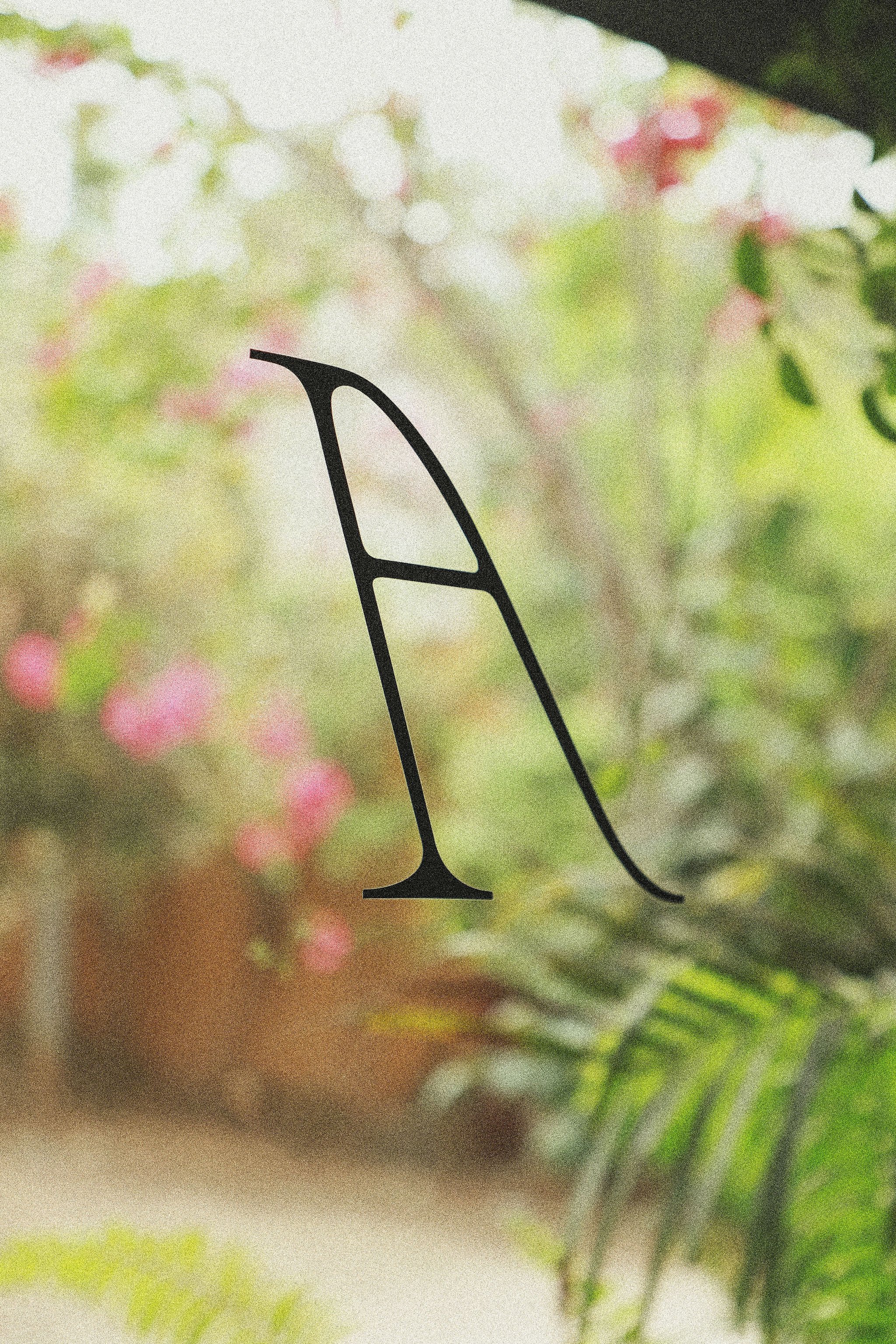 AORA, San Pancho
