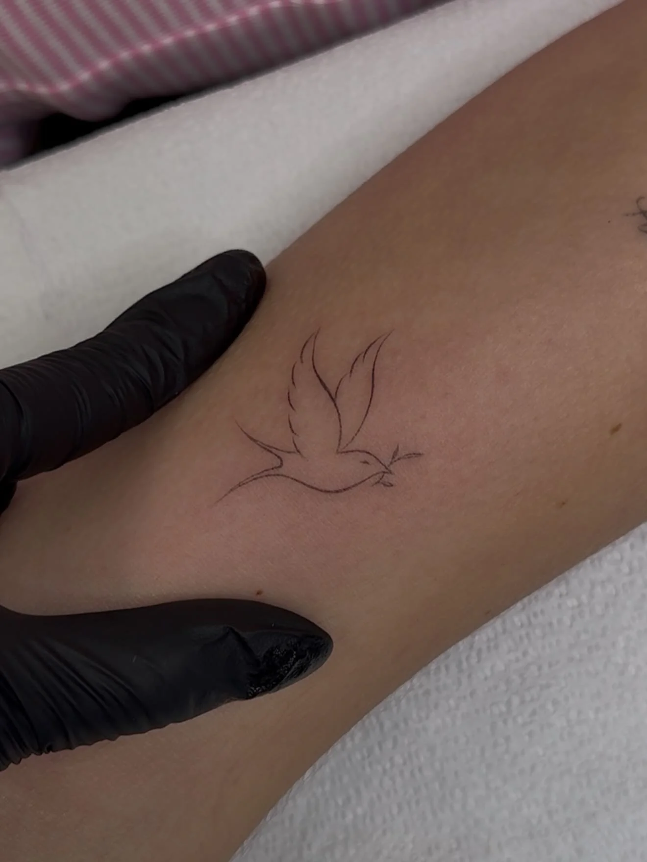 photo dumps are my favorite type of post 🤍 

cosmetic tattoos + body tattoos 

tattoos. Cosmetic tattoo. Body tattoo. Fine line tattoo. Delicate tattoo. Single needle tattoo. Nano brows. Nano brow tattoo. Realistic, hair strokes tattoo. Natural brow