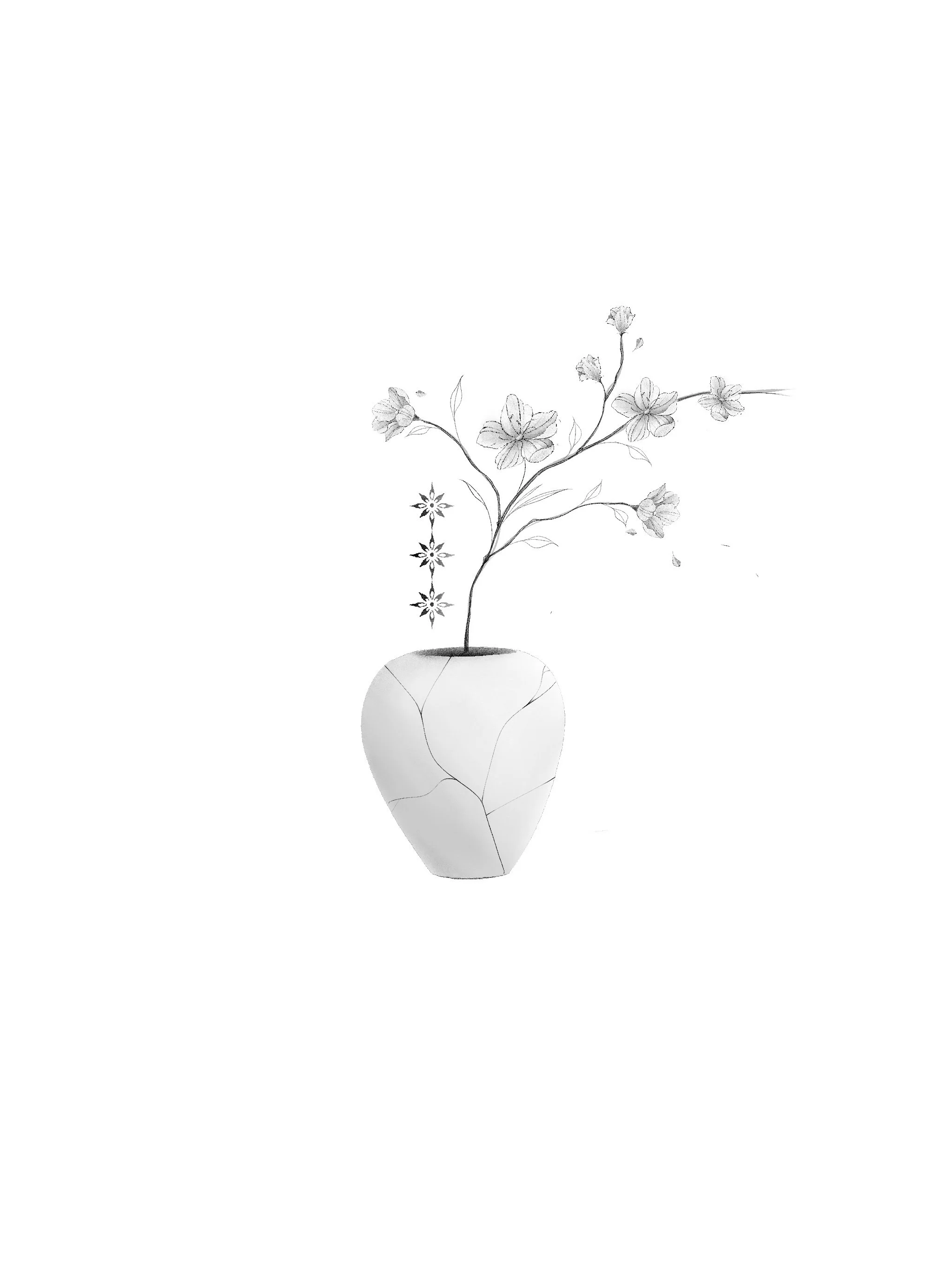 $250 DISCOUNTED RATE