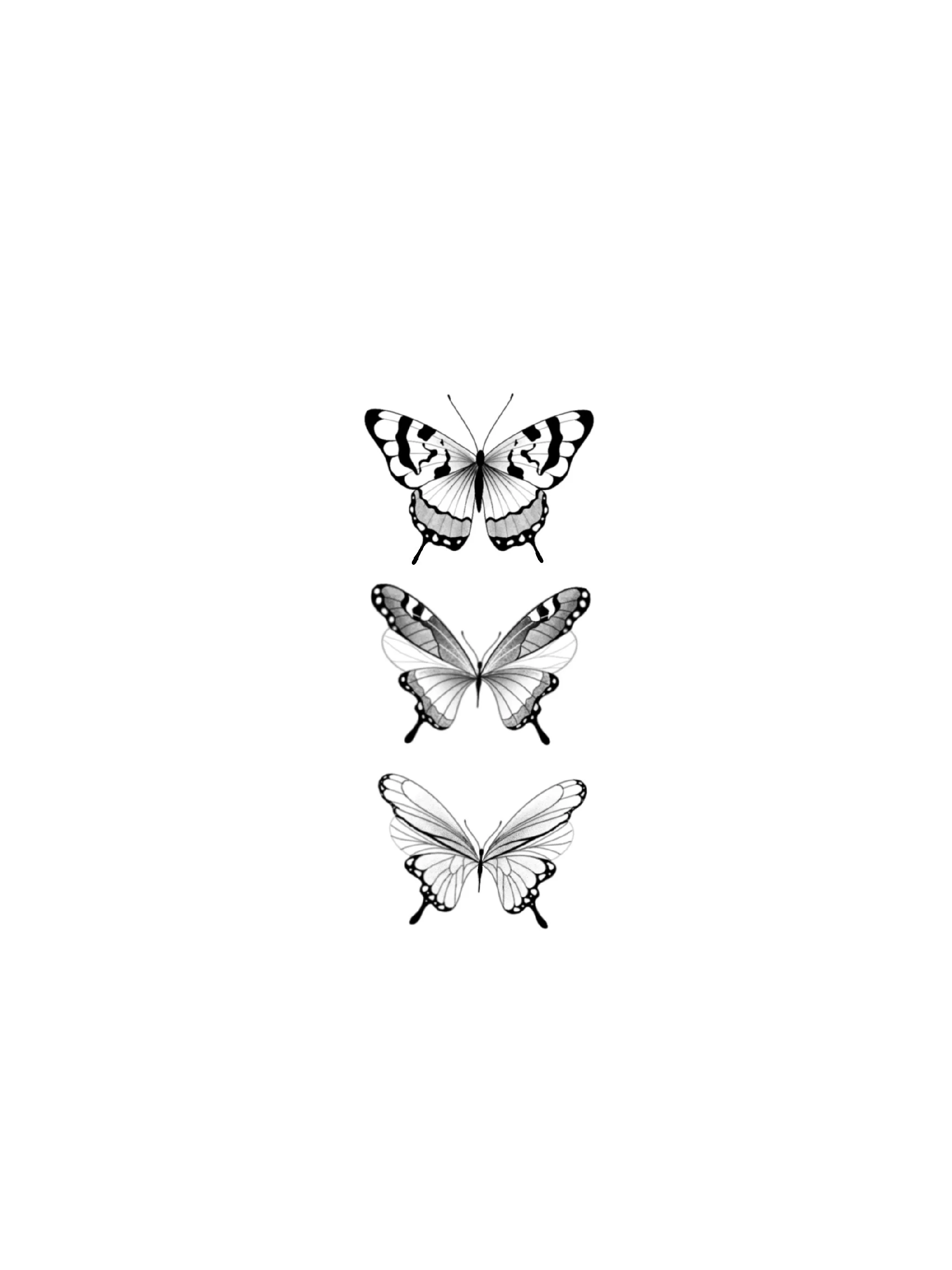 3 BUTTERFLIES : $400 DISCOUNTED RATE