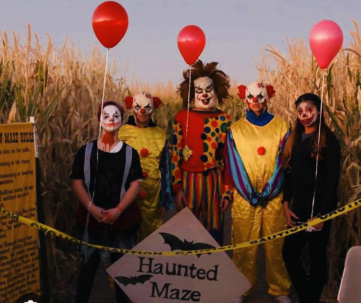 Harlan&rsquo;s newest Agritainment farm dares you to join our Wicked Halloween Party with live music, haunted corn maze and a hot meal with your admission!! 

Saturday, October 28th! Gates open at 3:30! 

🎶🎵🎶Third Wish band will be playing live at