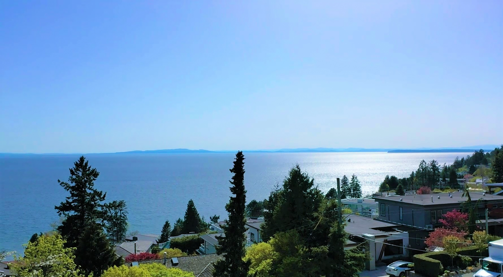 Ocean View Ai Live MLS listings for Ocean View Properties In Vancouver and White Rock