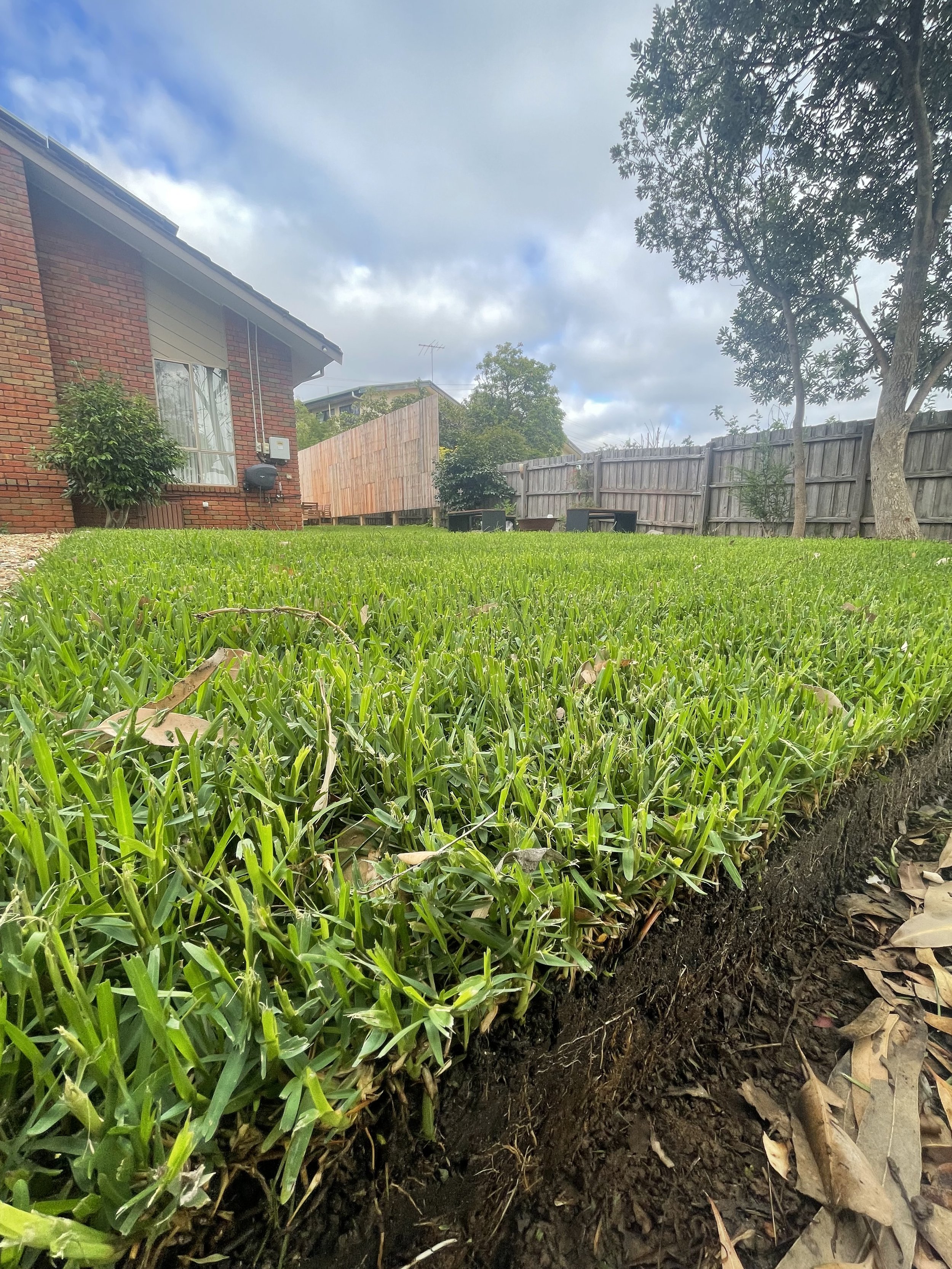 A neatly trimmed green lawn in a backyard with trees, a red brick house, and a wooden fence under a partly cloudy sky.