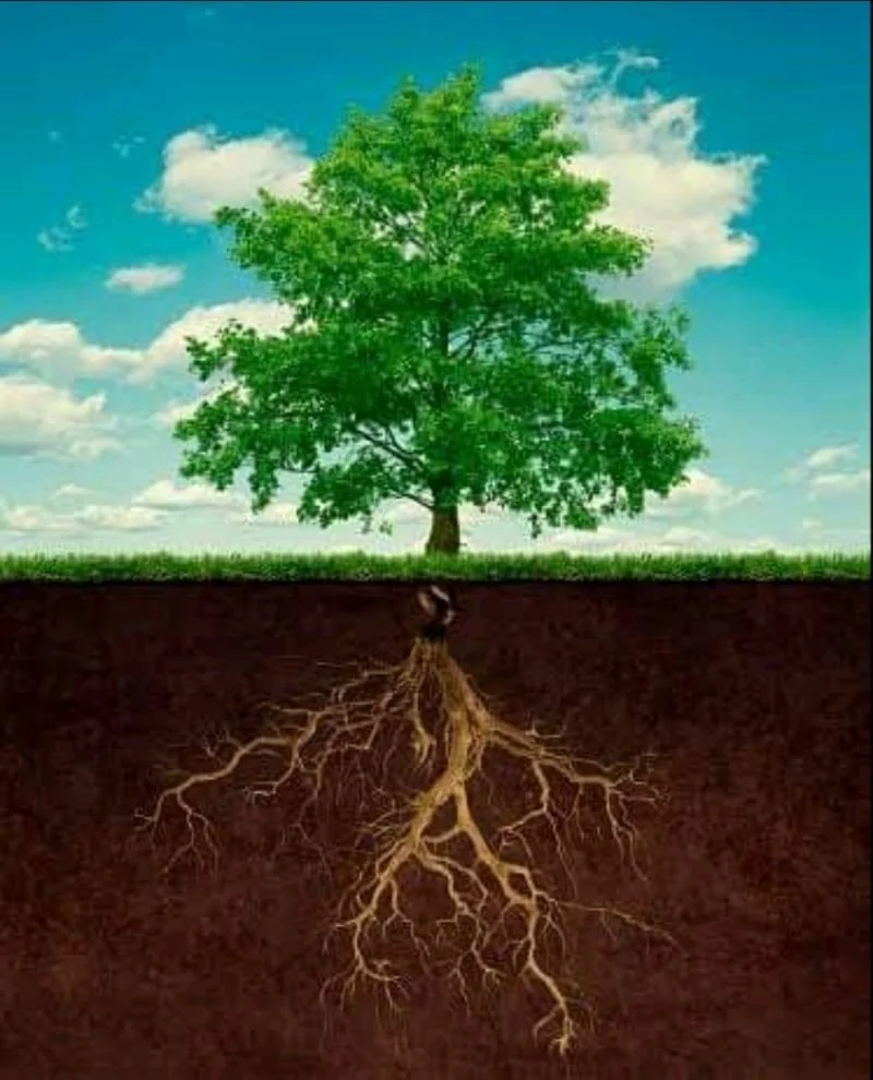 True diversity in the workplace