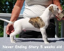 02_neverendingstory_5_weeks.jpg